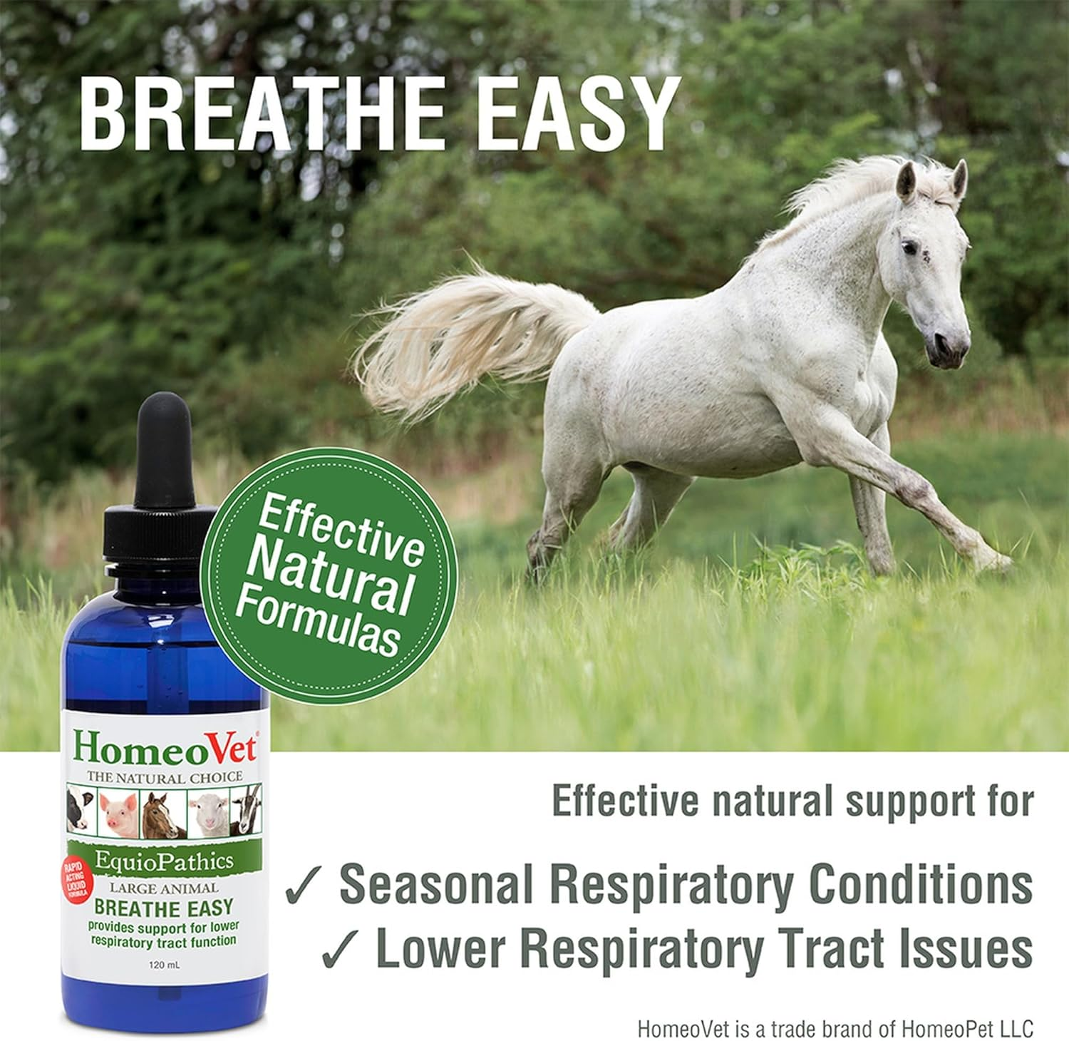 Homeovet Equine Breathe Easy 120 Ml - for Horses with Respiratory Discomfort. Lower Respiratory Tract Relief for Horses with Congestion. Natural Support for Equine Respiratory Balance and Breathing image number 1