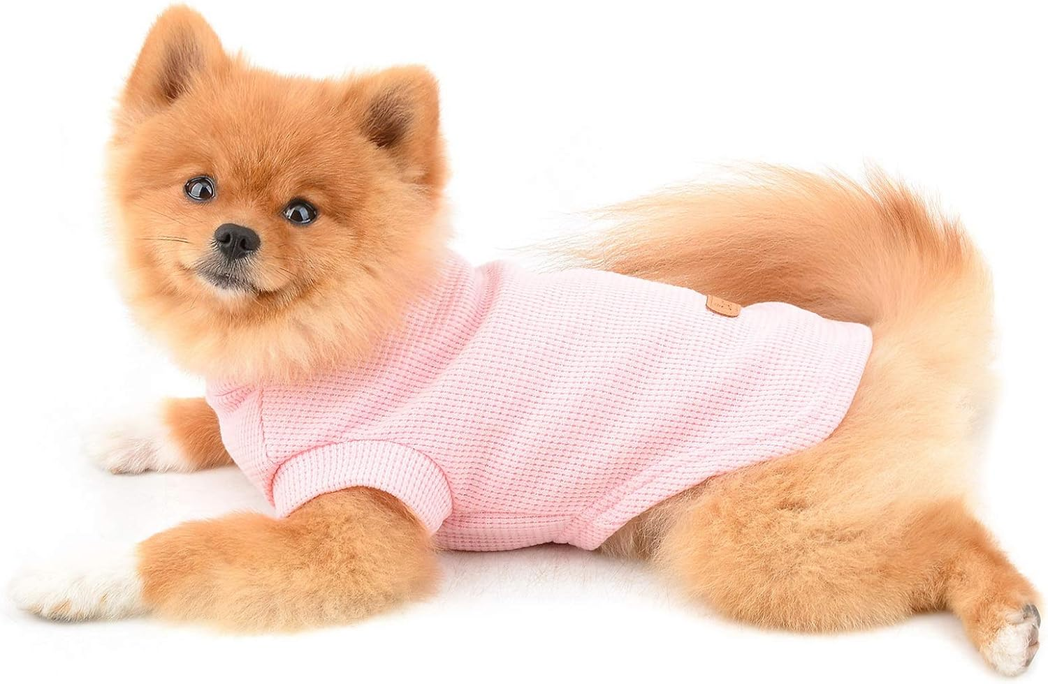 PAIDEFUL Dog Shirts for Small Medium Dogs Cats Boys Girls Solid Color Soft Cotton Vest Tee Seeveless Breathable Tank Tops Puppy Chihuahua Yorkie Clothes T Shirts Pet Summer Wearing Outdoor image number 4