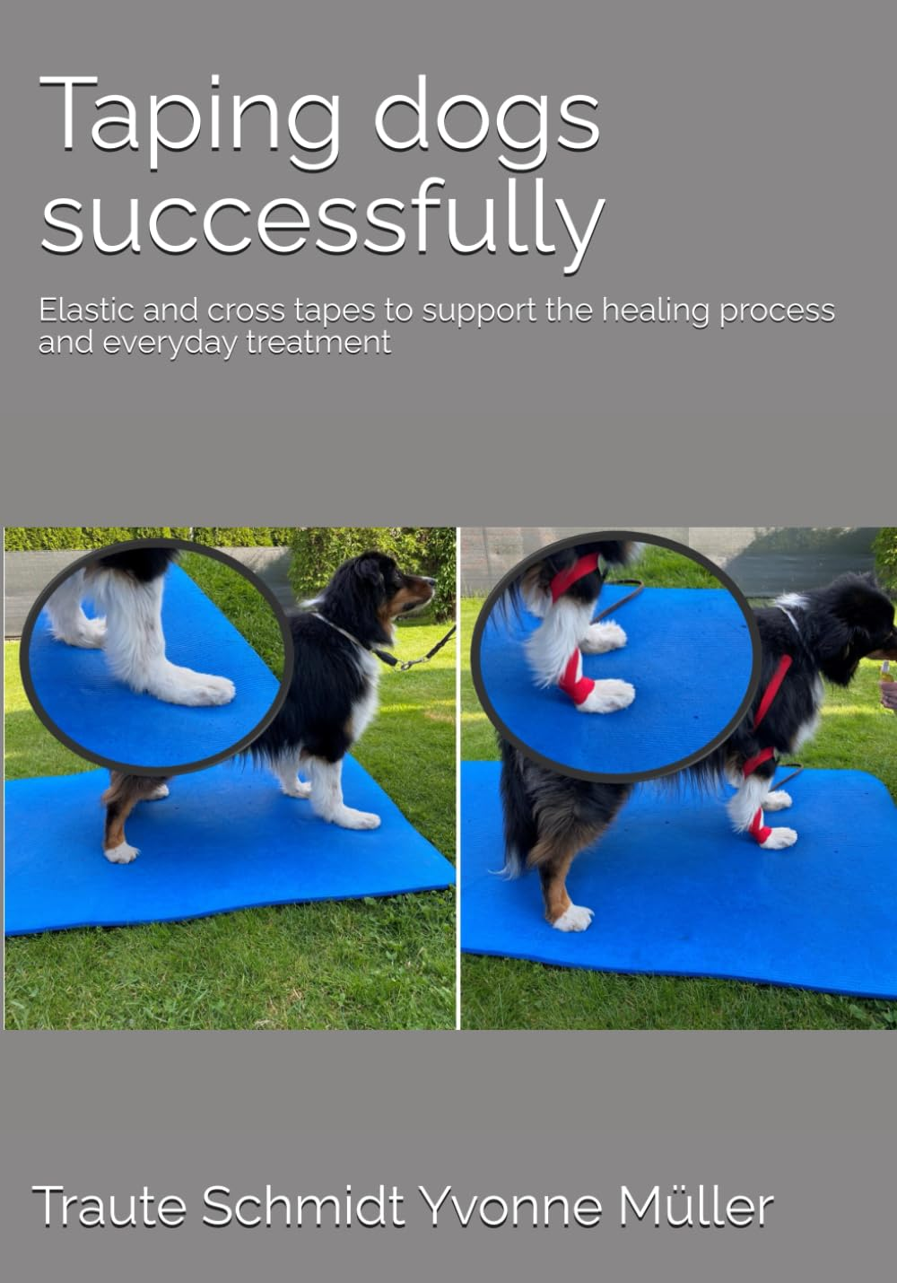 Taping Dogs Successfully: Elastic and Cross Tapes to Support the Healing Process and Everyday Treatment image number 1