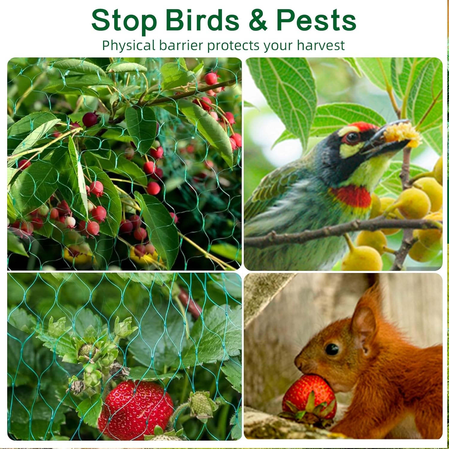 Verdantvibes Bird Netting for Garden, 13FT X 40FT Durable Uv-Resistant Mesh for Fruit Trees, Vegetables & Plant Protection image number 1