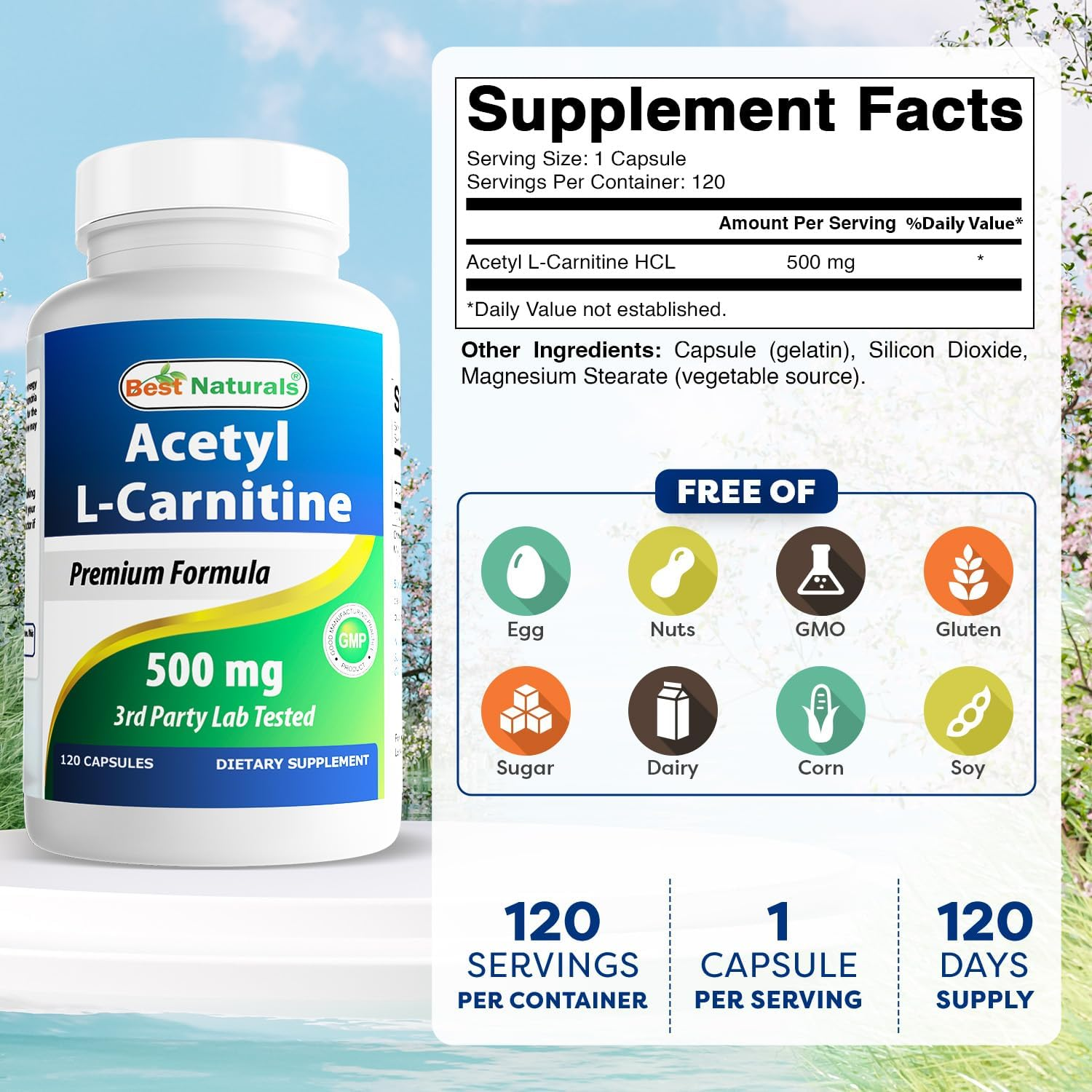 Best Naturals Acetyl L-Carnitine 500 Mg 120 Capsules (120 Count (Pack of 2)) image number 6