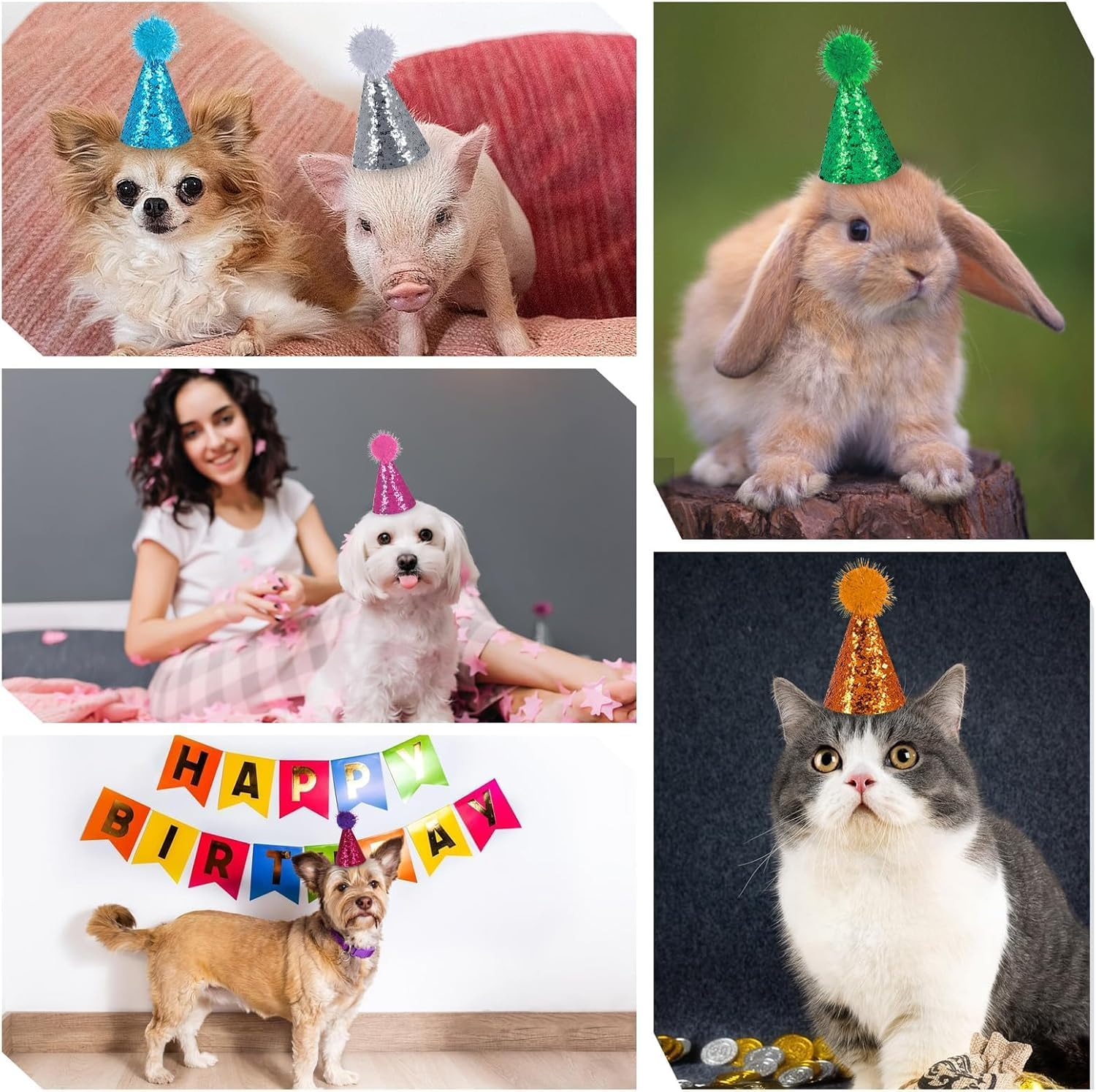 Cute Puppy Hat with Pompoms, 10Pcs Multi-Color Puppy Birthday Hat Dog Party Cap with Pom Poms Glitter,Colorful Cat Birthday Cute Dog Party Hats Glitter Hats with Pompoms image number 5
