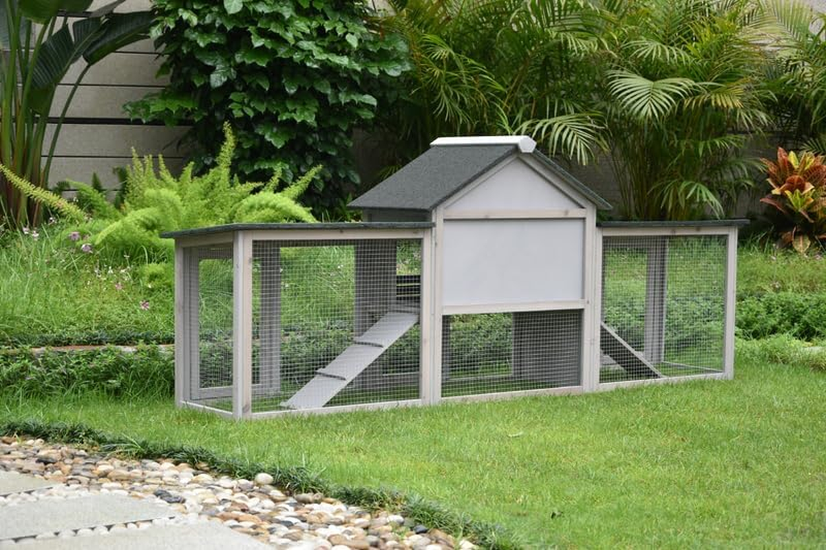Pawhub Double Run Wooden Chicken Coop Rabbit Hutch Bunny Cage Grey