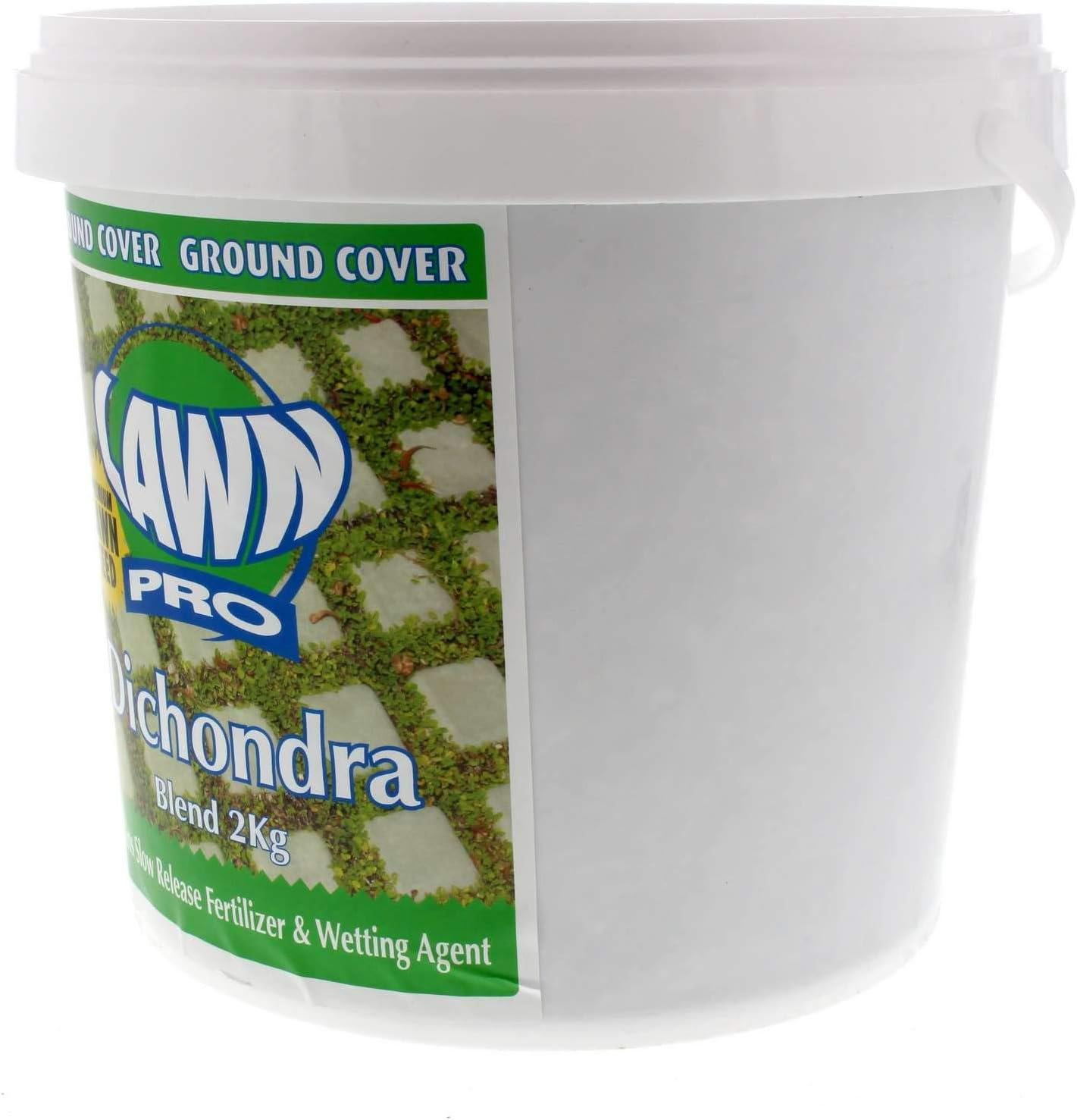 Lawn Pro Dichondra Ground Cover Blend Grass Seed 2Kg EMS Garden Premium image number 6