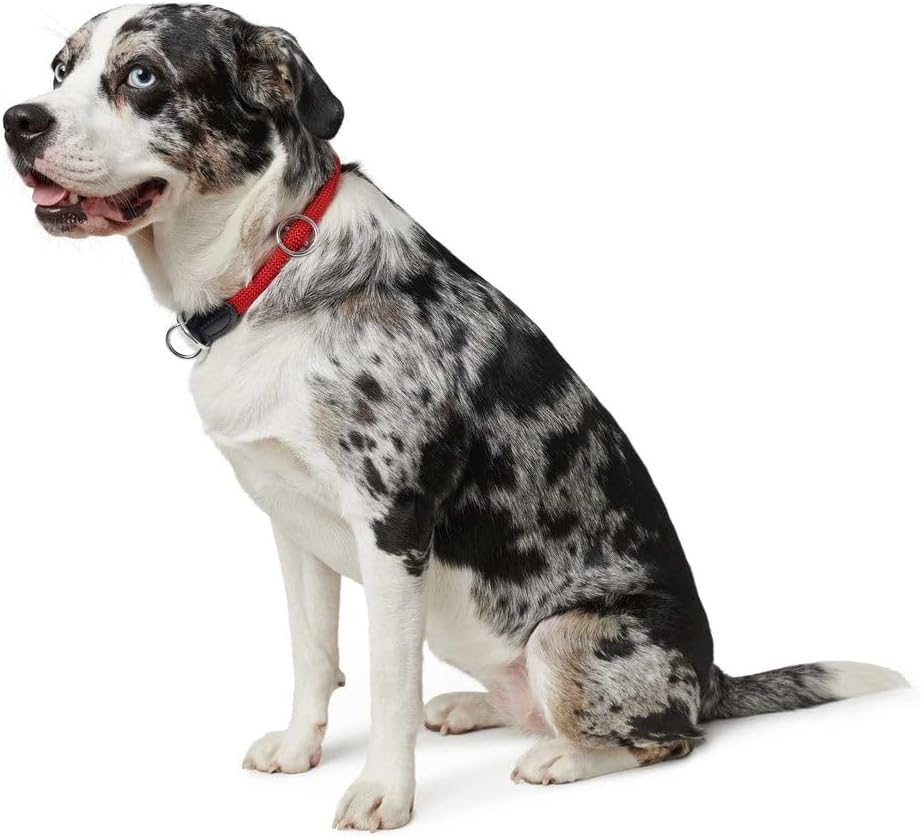 HUNTER Freestyle Dressage Collar, Colour: Dark Green, Durable Rope with Polyamide Core, Soft & Robust, Weatherproof & Easy to Clean, Ideal for Training and Everyday Use, Size: M image number 6