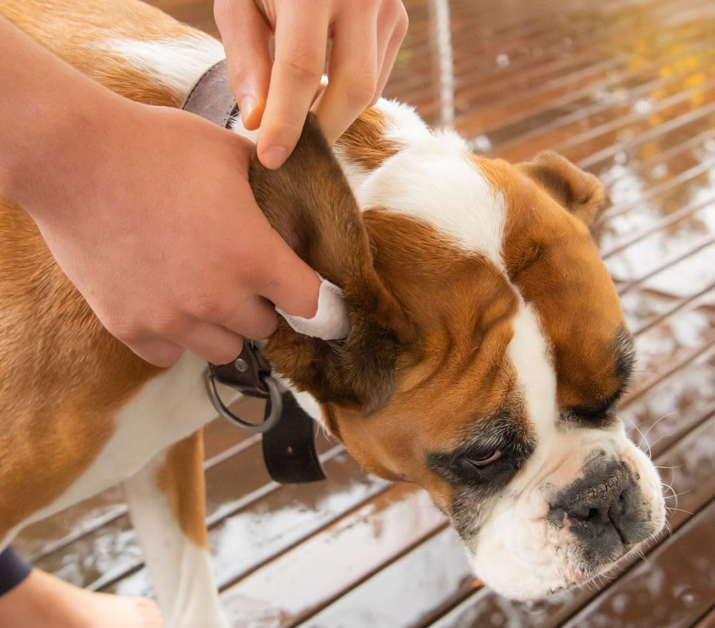 Pa & Paws Pet Ear Finger Wipes &ndash; 50Pcs | Gentle Ear Cleaner for Dogs & Cats | Aloe Vera & Chamomile | Alcohol-Free Pet Ear Cleaning Pads