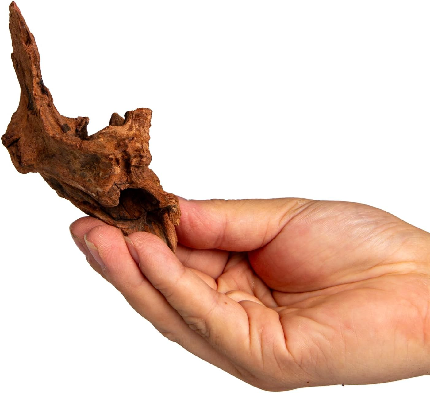 Emours Small Aquarium Driftwood, 2&ndash;6", Natural Twisted Branches, Low-Tannin, Great for Shrimp/Betta & Nano Aquascapes, Also for Reptile Terrariums (5) image number 1