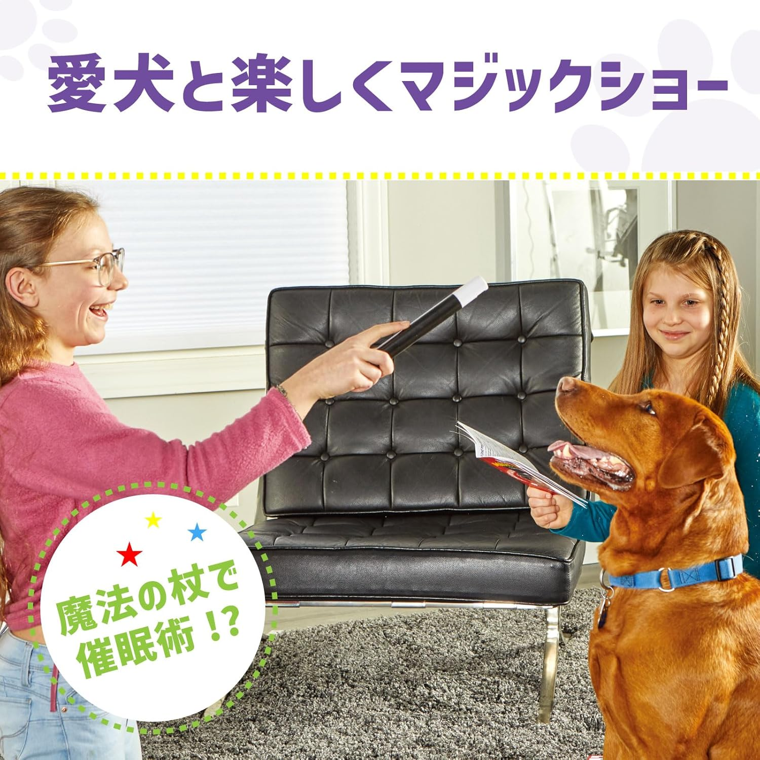 Brightkins Dog Magic! Training Set, Dog Training, LER9364-J, Japanese Version, Authentic Product image number 2
