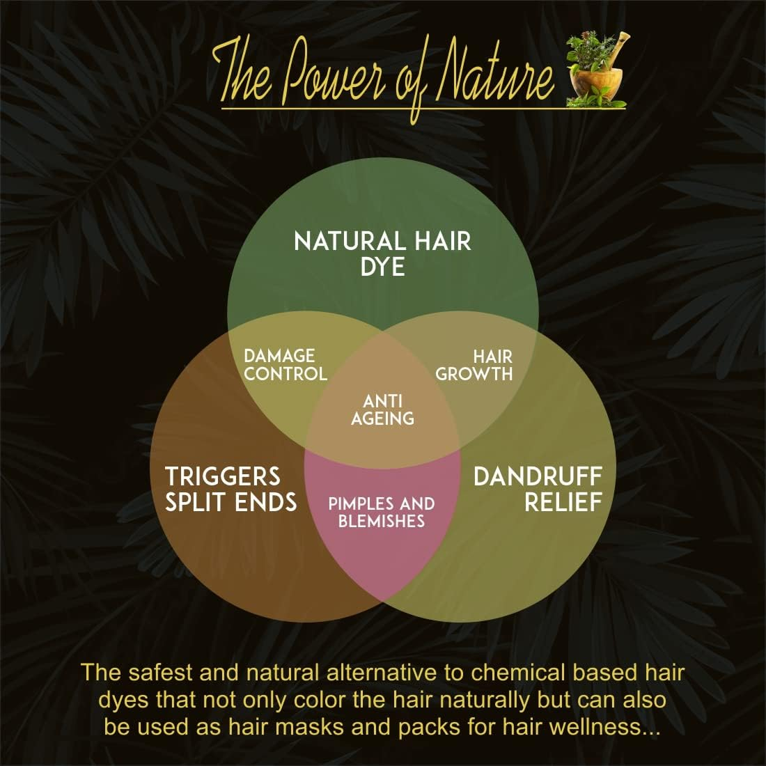 IYUSH Herbal Ayurveda Amla Shikakai Reetha Powder for Hair with 13 Natural Herbs and Natural Henna Powder for Hair &ndash; 500Gm | Hair Volume Powder | Hair Pack for Hair Growth | Hair Powder | (250Gm Each) image number 6