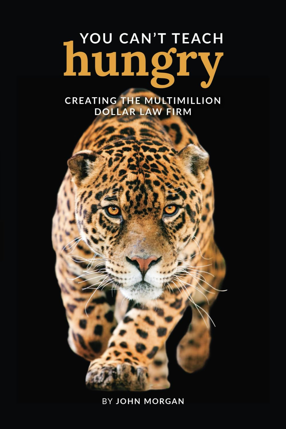 You Can'T Teach Hungry: Creating the Multimillion Dollar Law Firm - Hardcover image number 2