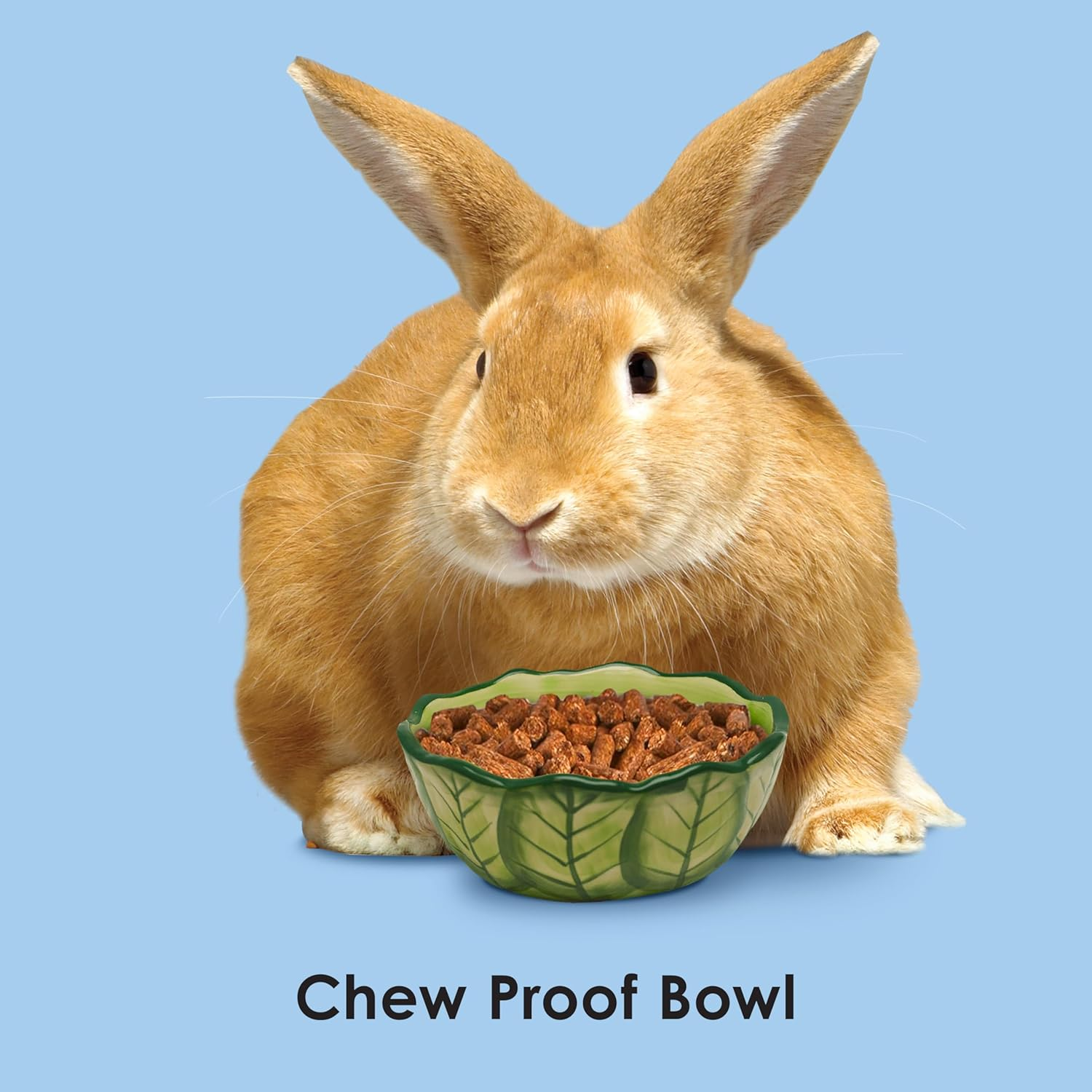 Kaytee Vege-T-Bowl Cabbage 6 Inches, Green