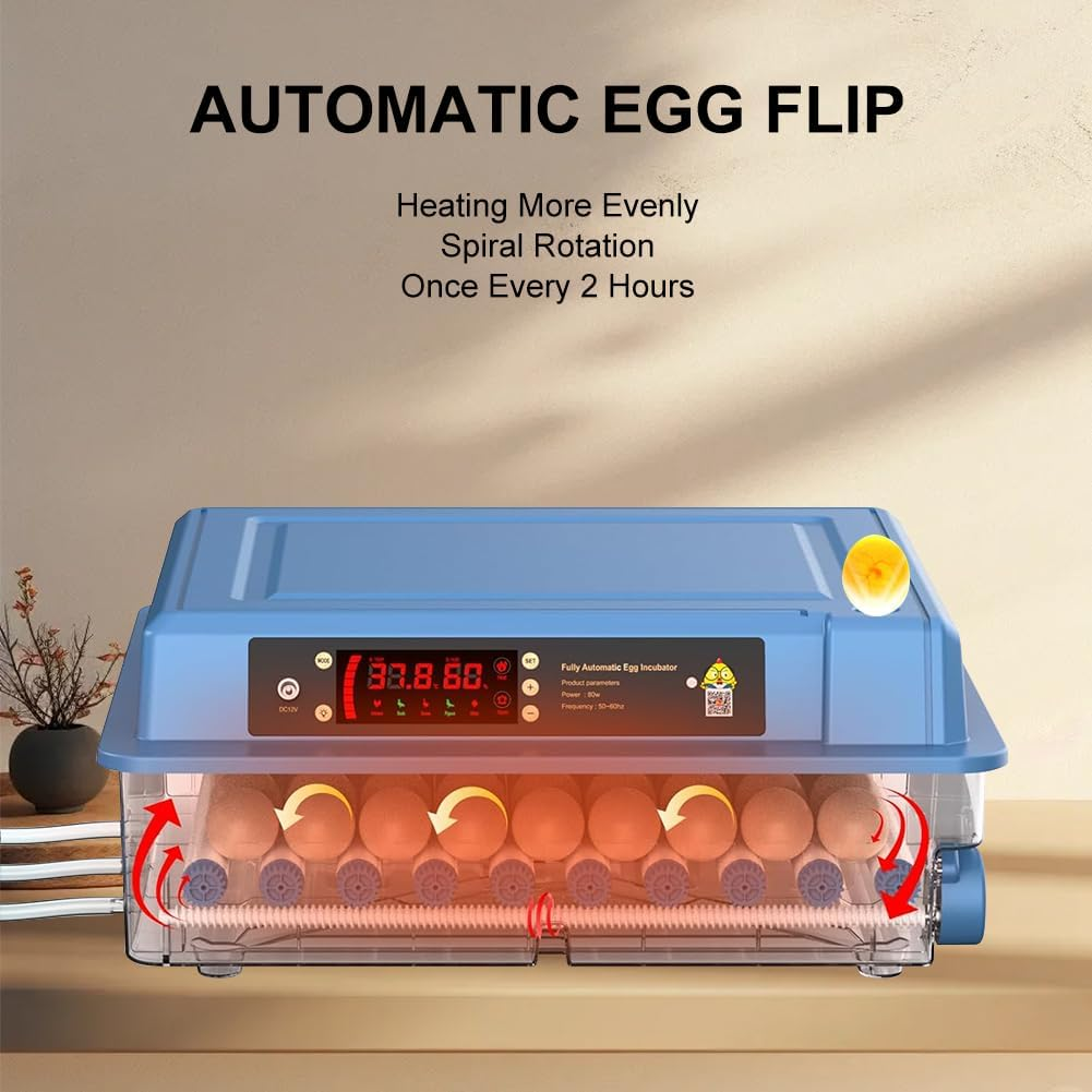 CHAOFLIGHT Eggs Incubator,64 Poultry Egg Hatchery Brooder Automatic Egg Turner with Temperature Control & Digital Touch Screen for Hatching Parrot,Birds,Chickens,Ducks,Quails (64 Eggs)