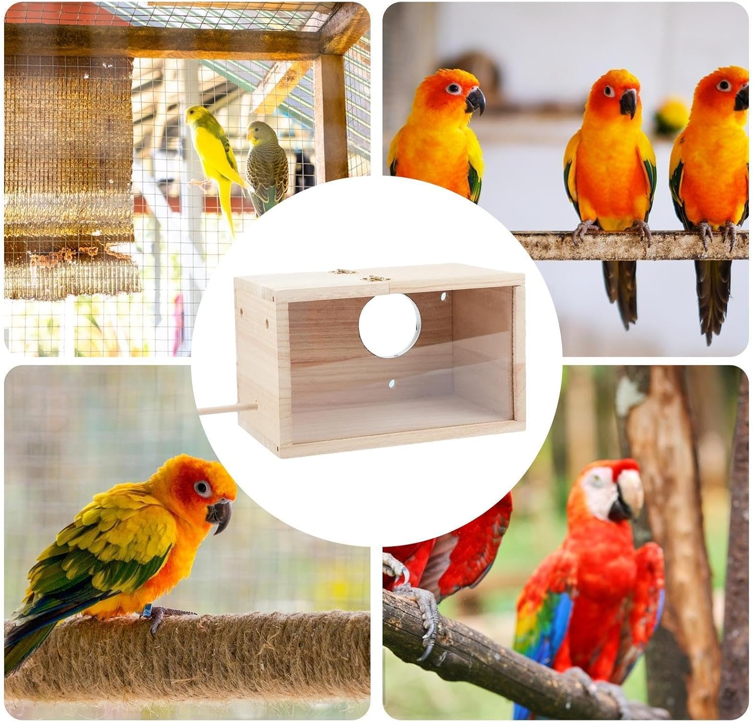 Bird Breeding Box - Transparent Bird House - Lovebirds, Canary, Budgerigar Cockatiel Breeding House, Conure Nesting Box with Clear Acrylic Window image number 2