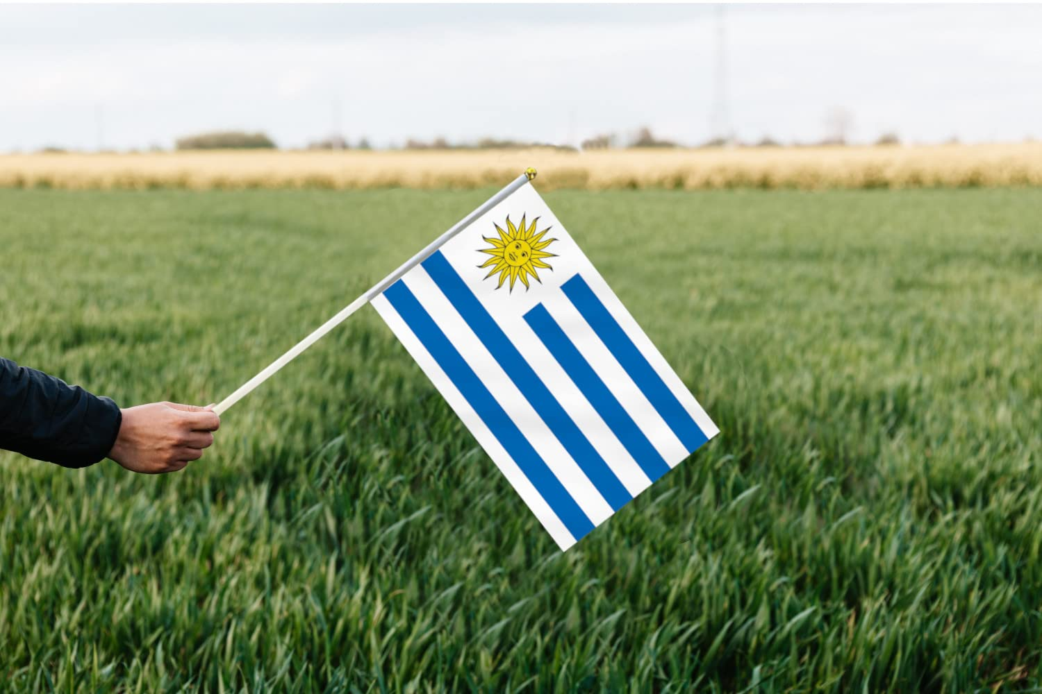 10 PCS Handheld Uruguay Flag,8.5&times;5.5 Inch Hand Held Mini Uruguayan Flags Banner for Indoor Outdoor Parade Waving the Tlag and Shouting image number 4