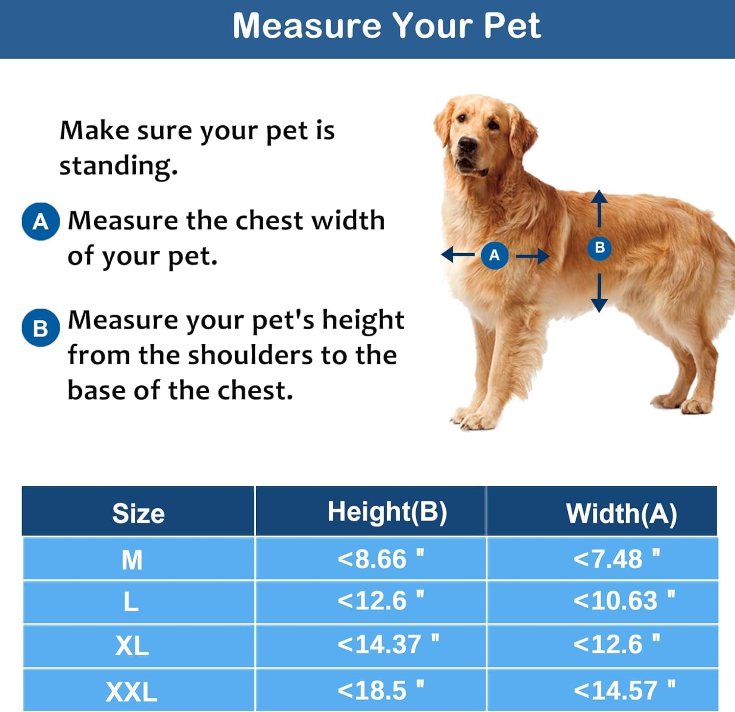 Dog Door with Soft Transparent Magnetic Flap and Snap-In Closing Panel, Premium PVC Plastic Doggie Door for Small Dog and Cat(M,Black) image number 3