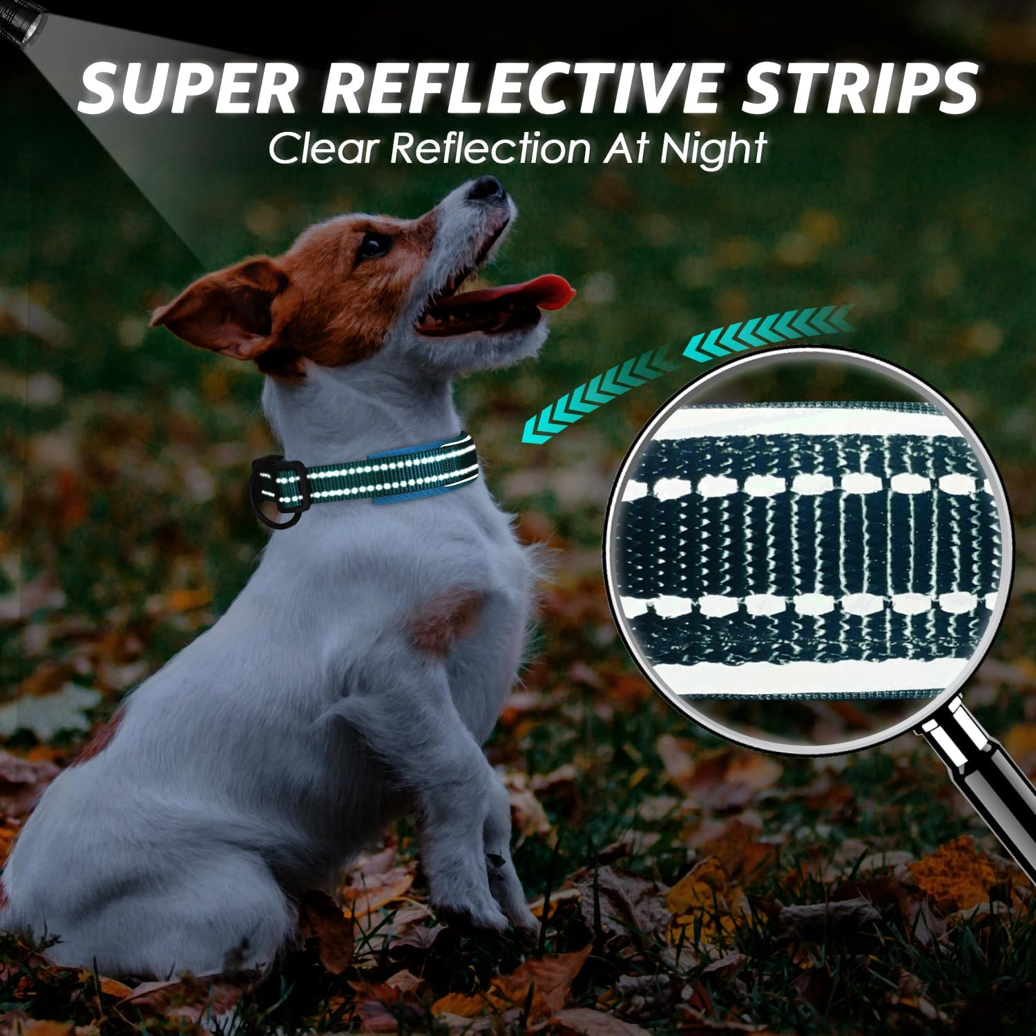 Slowton Reflective Dog Collar with Safety Buckle, Adjustable Reflective Neoprene Padded Collars Breathable Nylon Pet Collar for Dogs Puppy