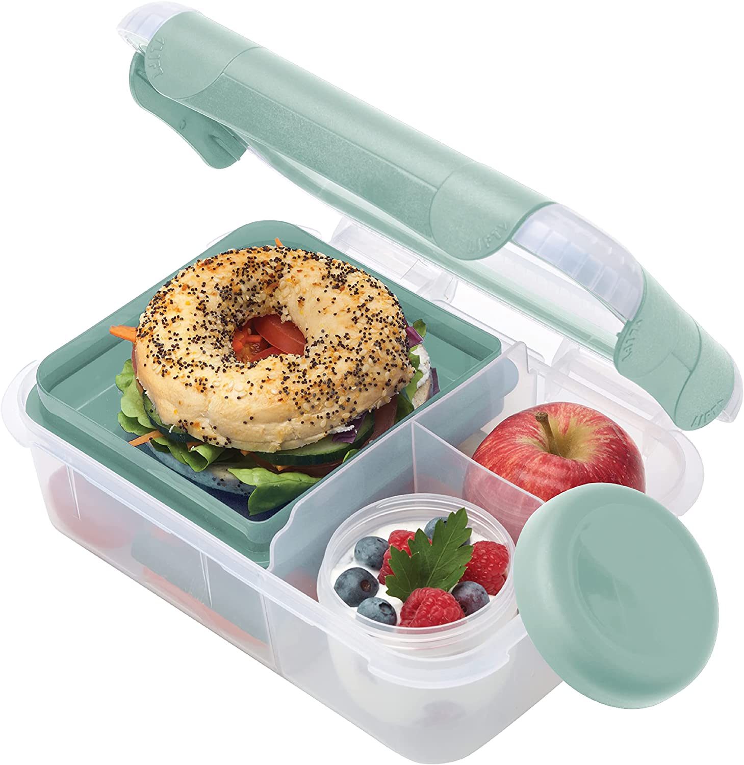 Smash Bento Lunch Box, Blue, 1.6 Liter Capacity