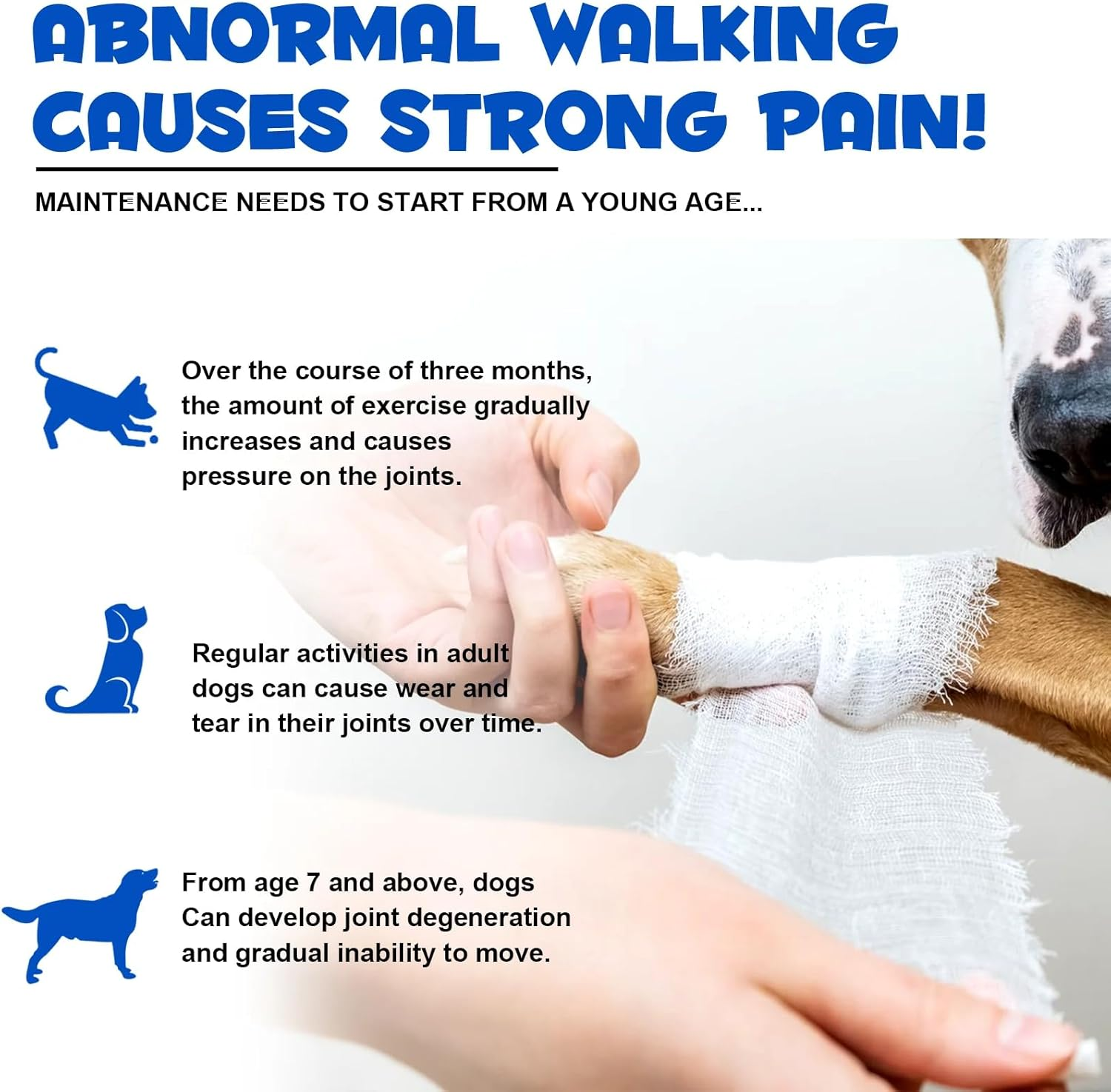 Joint Aid & Relief Drops for Dogs 60Ml | Natural Joint Support with Glucosamine, Chondroitin, MSM, and Turmeric | Improved Mobility & Flexibility image number 2