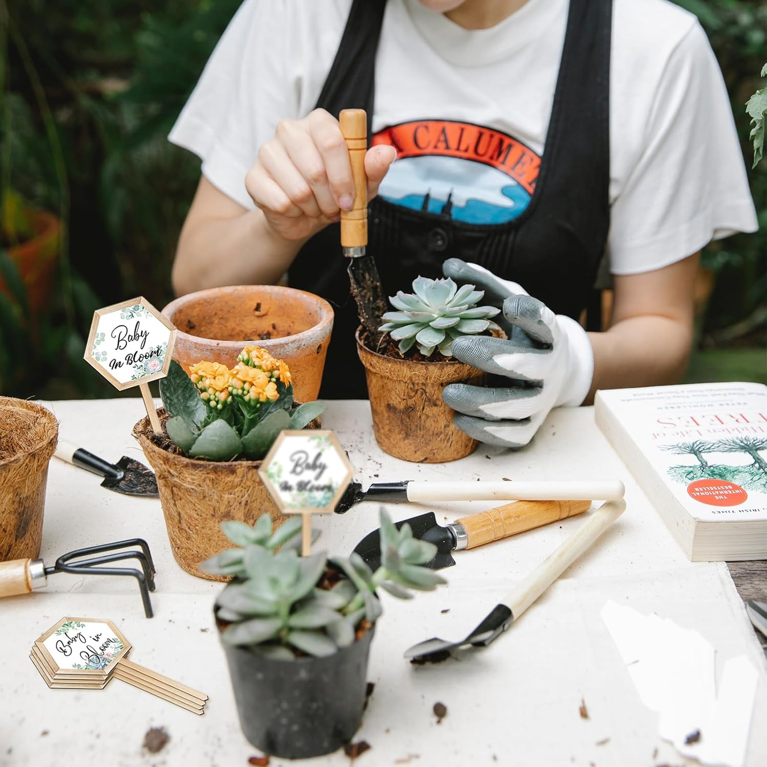 Baby in Bloom Succulent Tags, Wooden Plant Stakes Label Hexagon Plant Markers Plant Signs Succulents Labels for Baby Shower Succulents Potted Plants(48 Pcs) image number 1