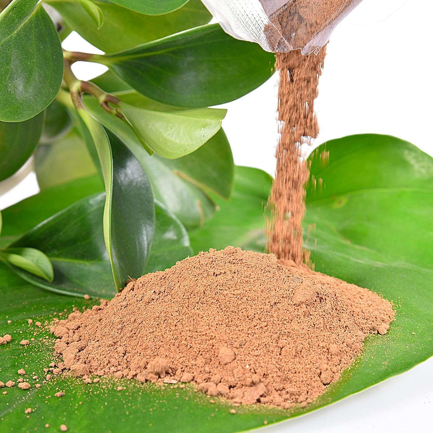 Aquatic Compost, Aquatic Pond Soil, Natural Pond Mud with Nutrients, Plant Growing Media, Pond Plant Soil Blend, Water Plants Seed Cultivation Growing Media, Gardening Supplies image number 4