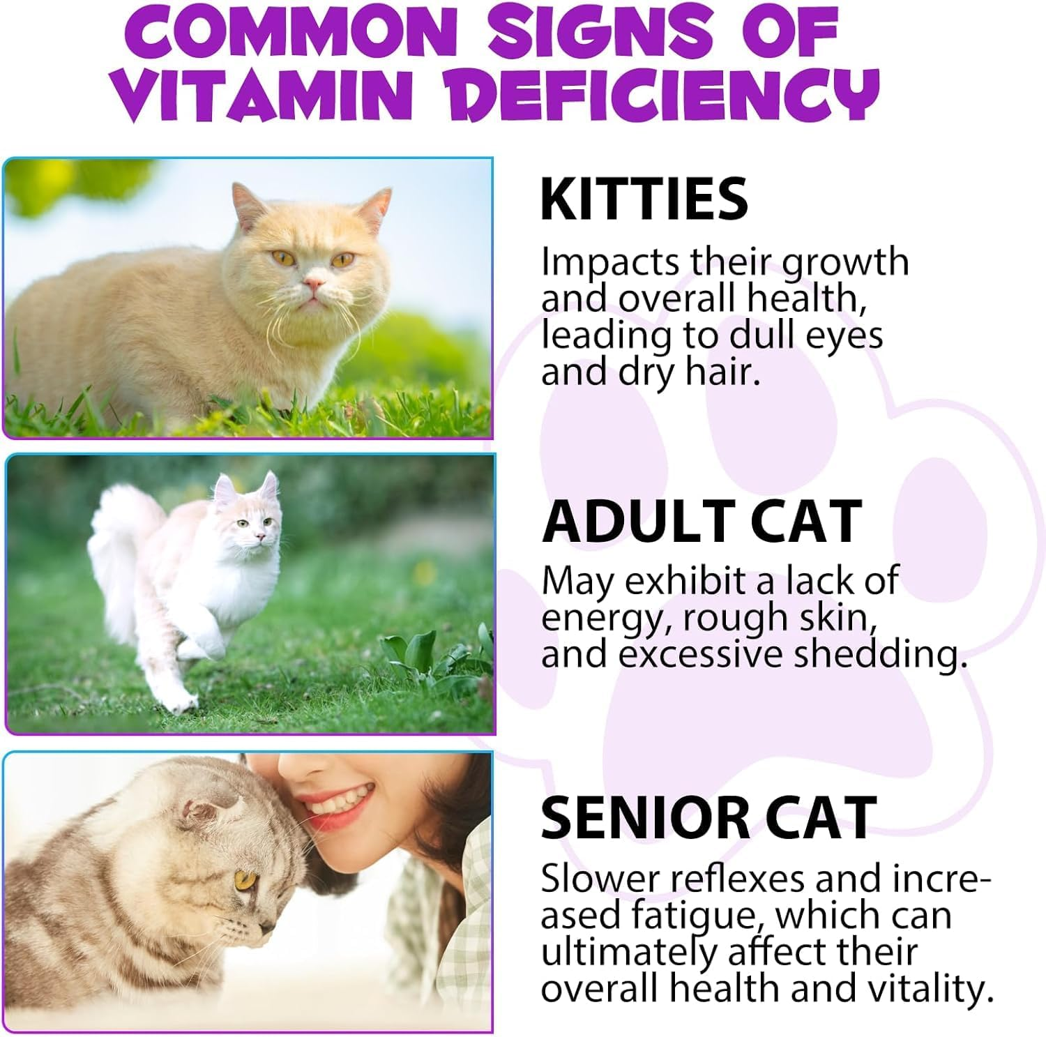 15-In-1 Cat Multivitamin Liquid Drops 60Ml | Supports Joints, Skin & Coat, Immune & Urinary Health | with Cranberry, Glucosamine & Probiotics | image number 3