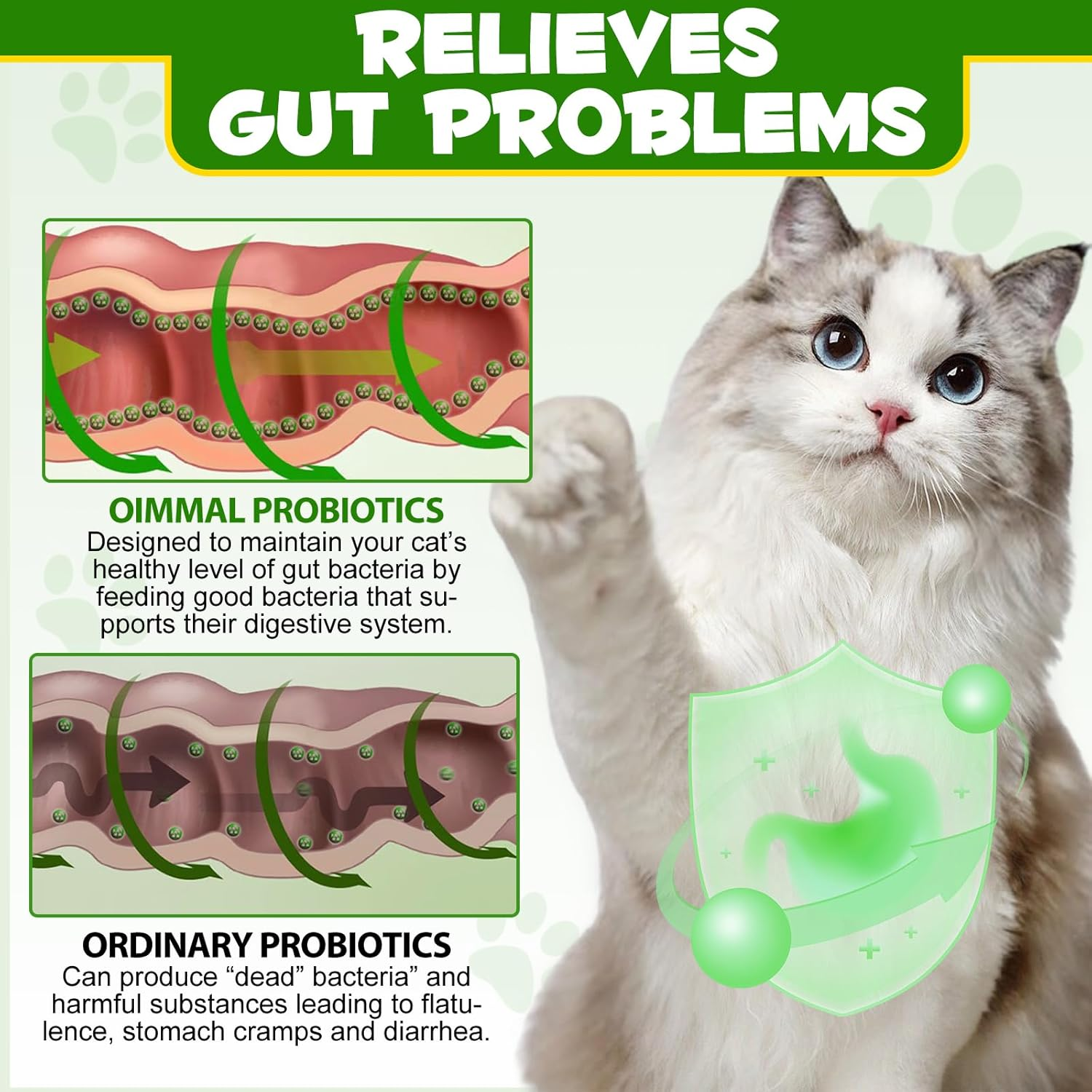 Probiotics for Cats | Cat Probiotic Power | 12 Strains Prebiotics | Fresh Salmon-Flavored Digestive Powder Supplement | 5 Billion Cfus | Gut Health Support | for All Ages and Breeds | 120G image number 4