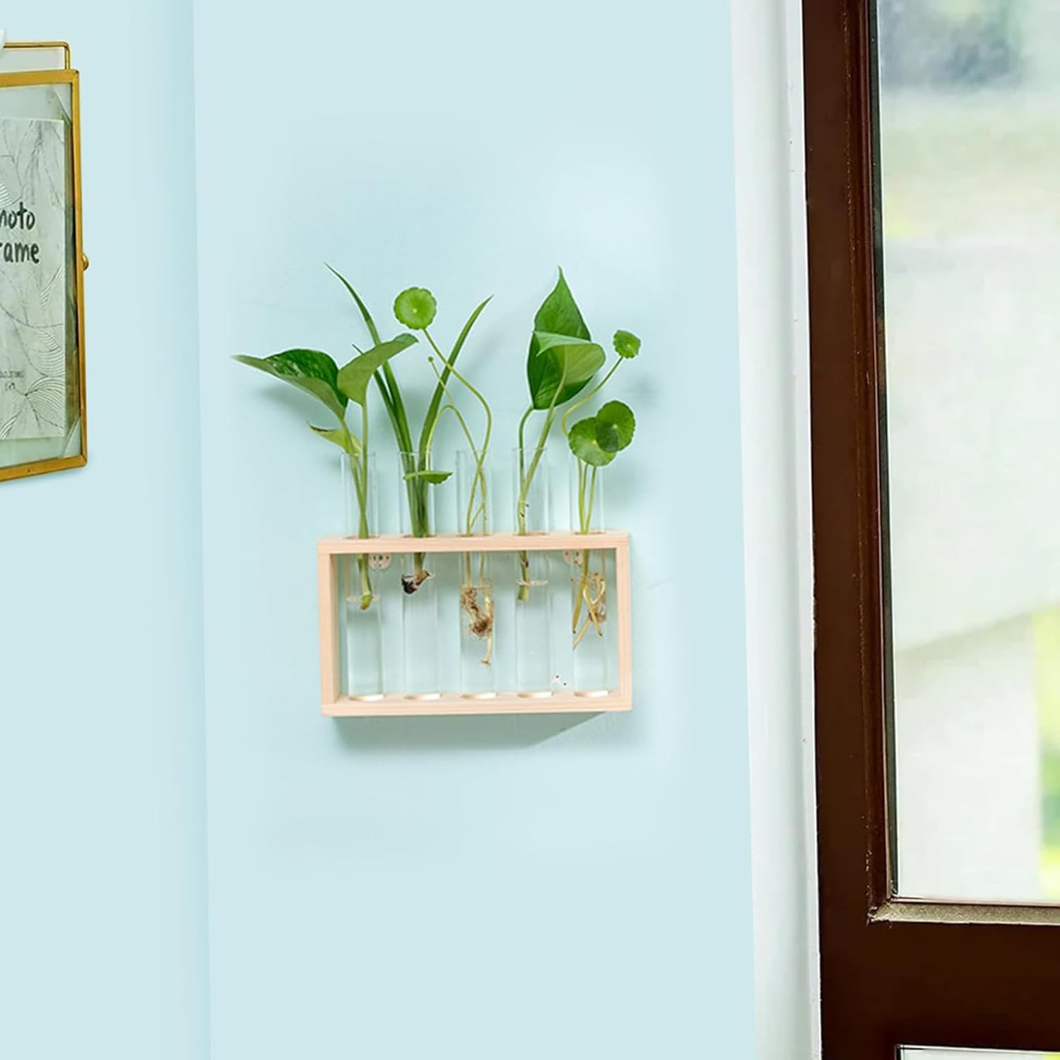 Desktop Plant Propagation Stations, Clear Cylinder Glass Foldable Vase Test Tube with Wooden Stand,Propagation Station,Gifts for Plant Lovers,5 Vases - A image number 7