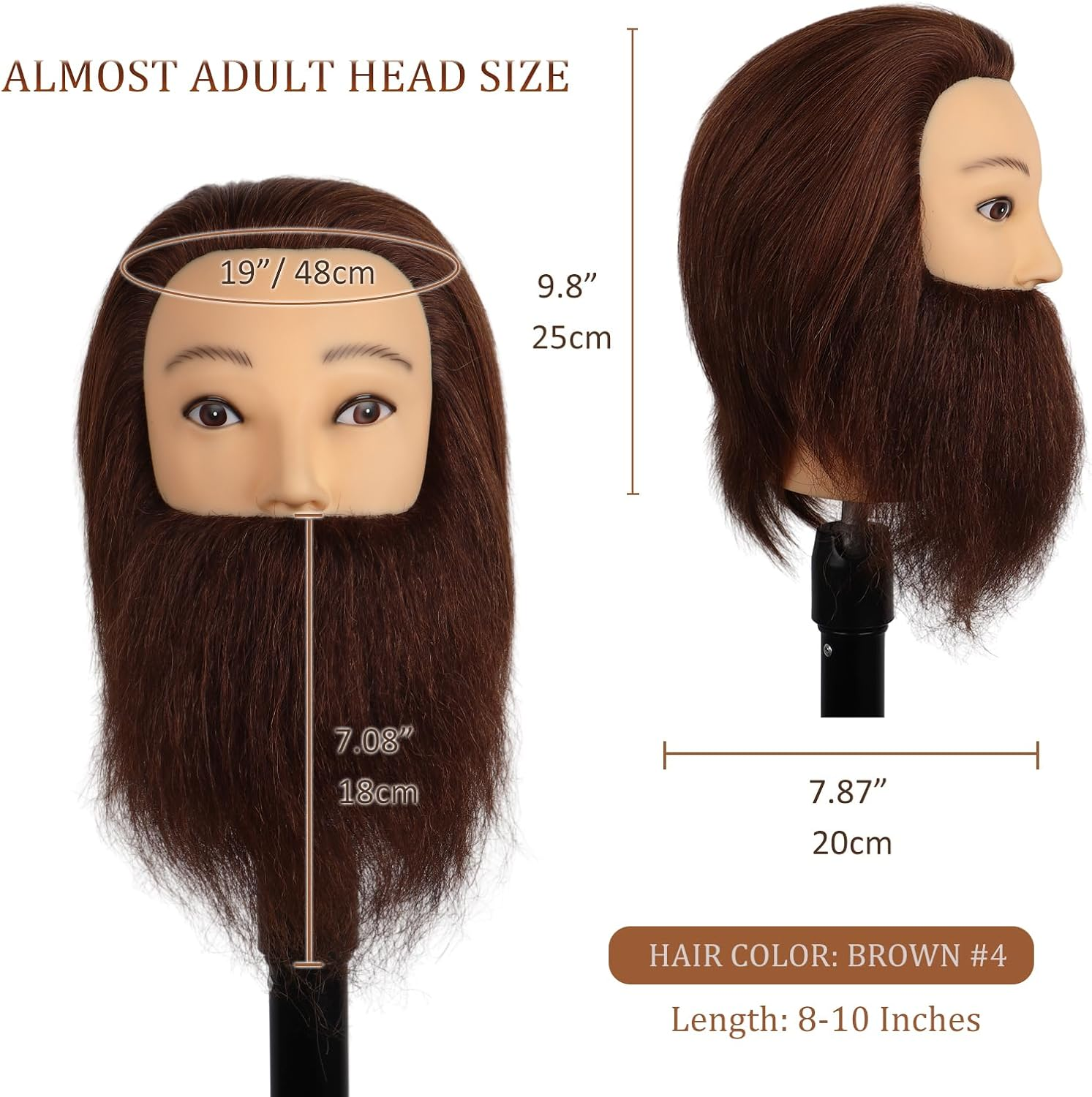 Daizysight Barber Mannequin Head Male with 100% Human Hair, Male Haircut Practicing Head with Beard & Thick Hair, Hairdresser Manikin Doll Head for Training Hair Styling (Brown, 12 Inches) image number 2