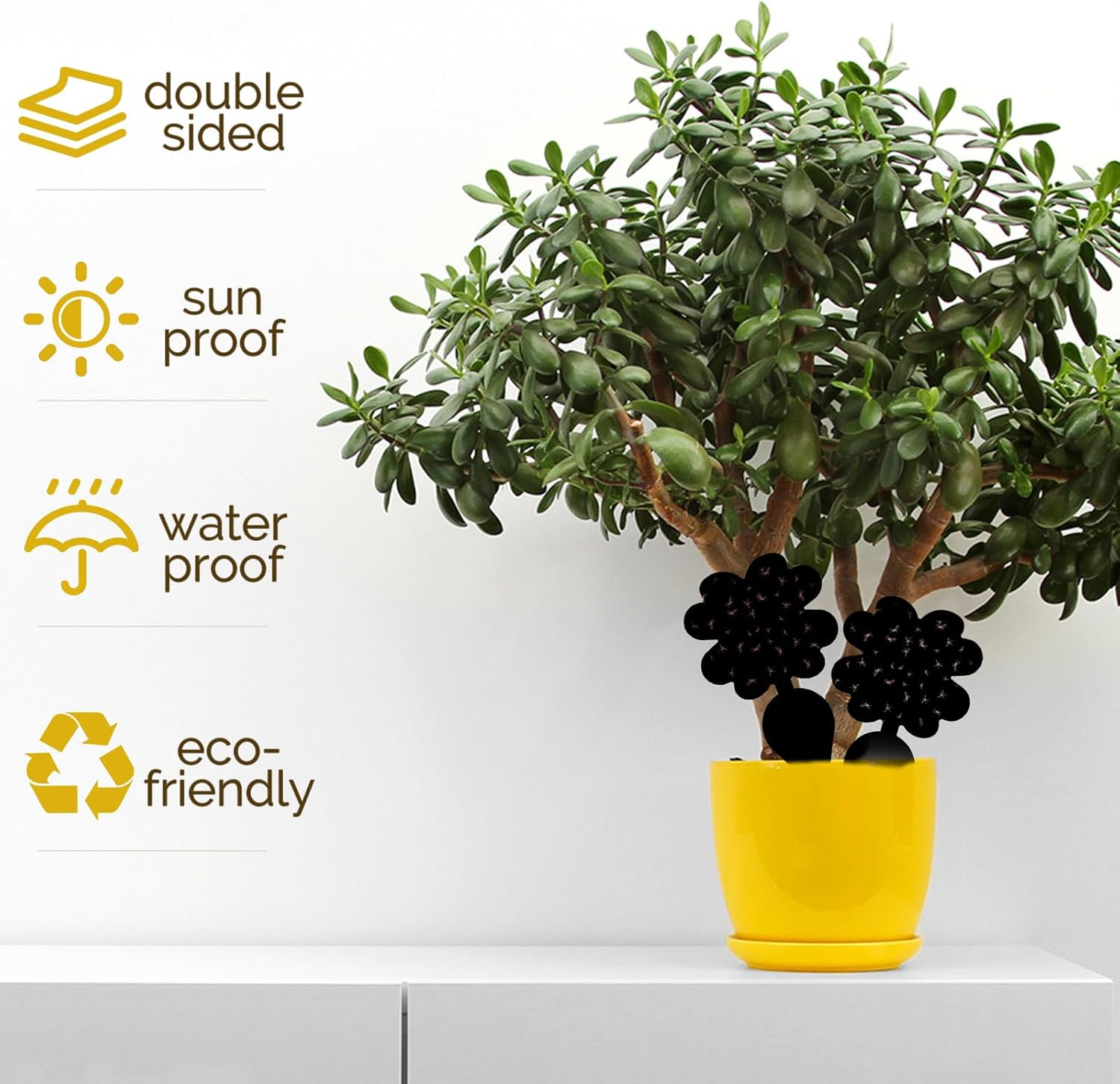 60Pack Gnat Trap Sticky, Fruit Fly Trap for Files Moths Mosquito, Waterproof Fly Trap, Non-Toxic, Harmless and Odorless, Friendly to Pets and Humans, Indoor and Outdoor Use, Black image number 5