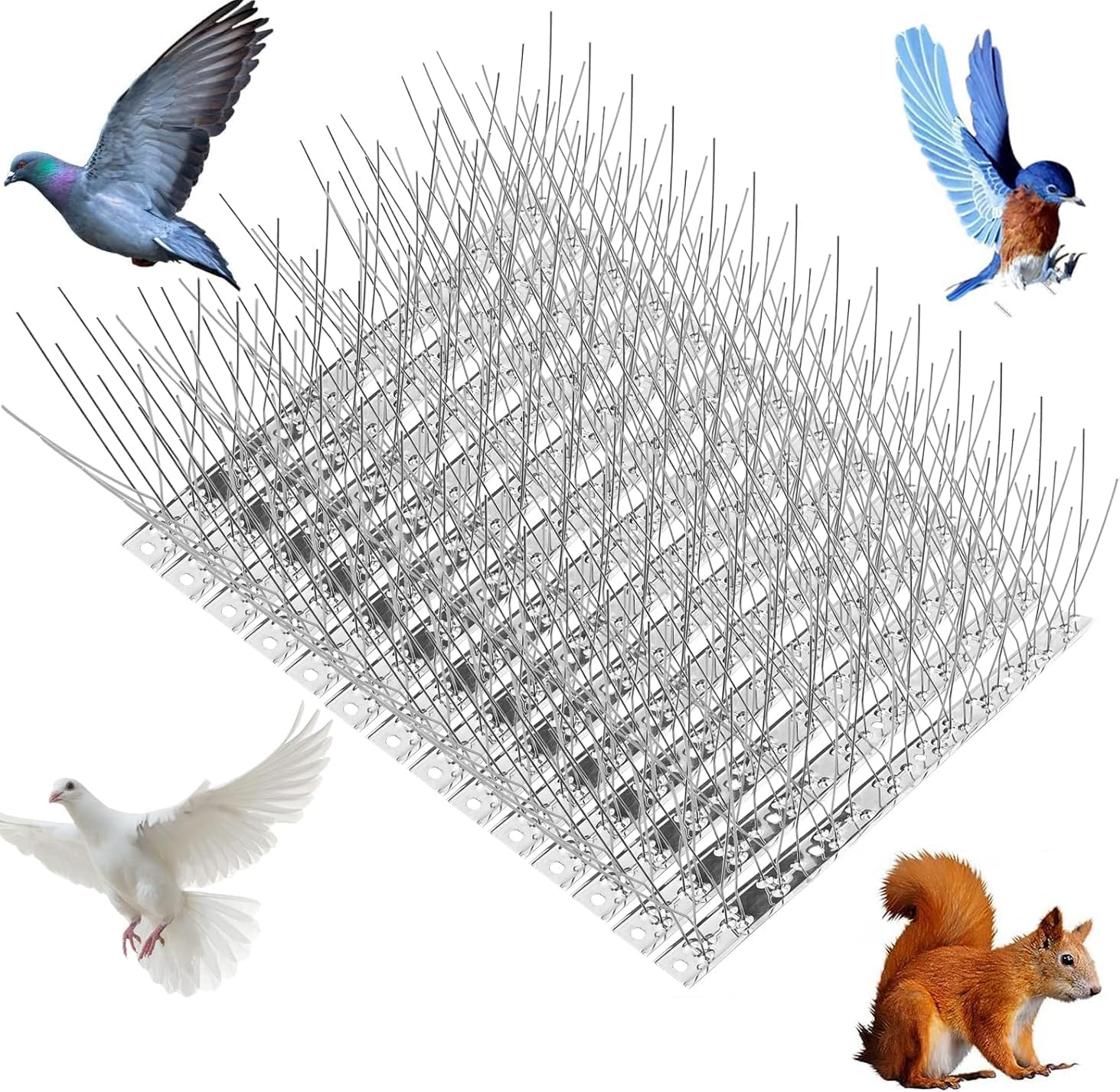 10 Pack Stainless Steel Bird Spikes, Bird Squirrel Raccoon Cat Fox Pigeon Intruder Deterrent Fence anti Bird Spikes, Garden Security Bird Deterrent Spikes for Balcony, Windows and Roof image number 4