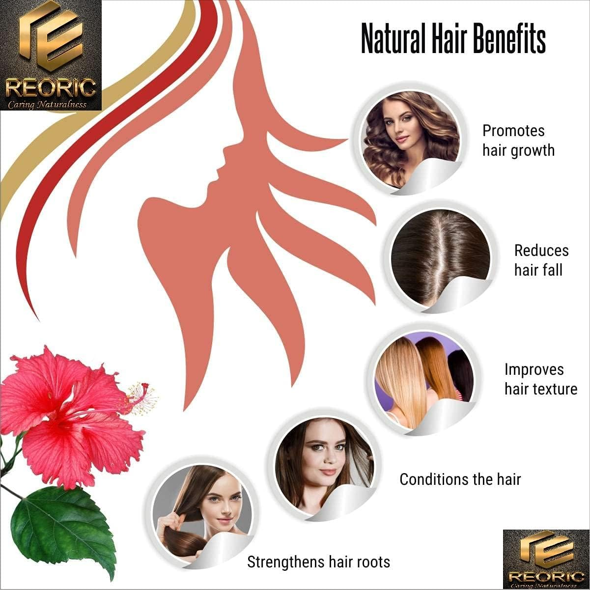 Reoric Amla Reetha Shikakai Bhringraj Hibiscus Powder(500G, Pack of 5) |Soap Nuts for Hair |Indian Gooseberry Powder |Acacia Concinna |Aritha Powder, Separate Pack image number 3