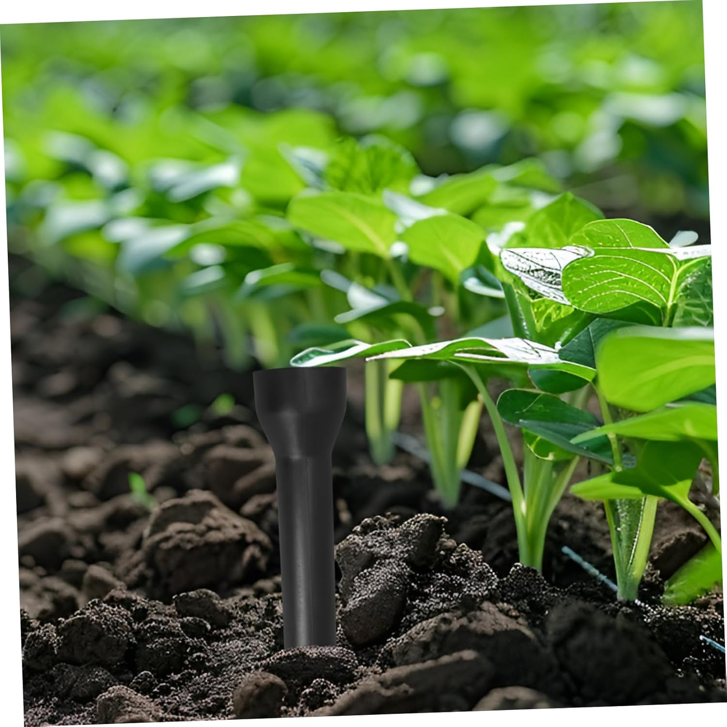 Levemolo 3Pcs Watering Spikes Plant Watering System Stakes Accessories for Indoor Outdoor Gardening image number 5