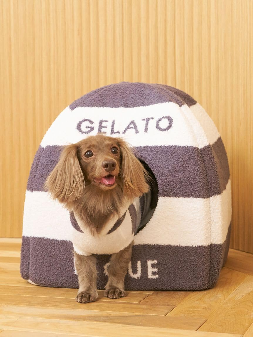 Gelato Pique Cat & Dog PAGG259113 NVY F Baby Moco House image number 3