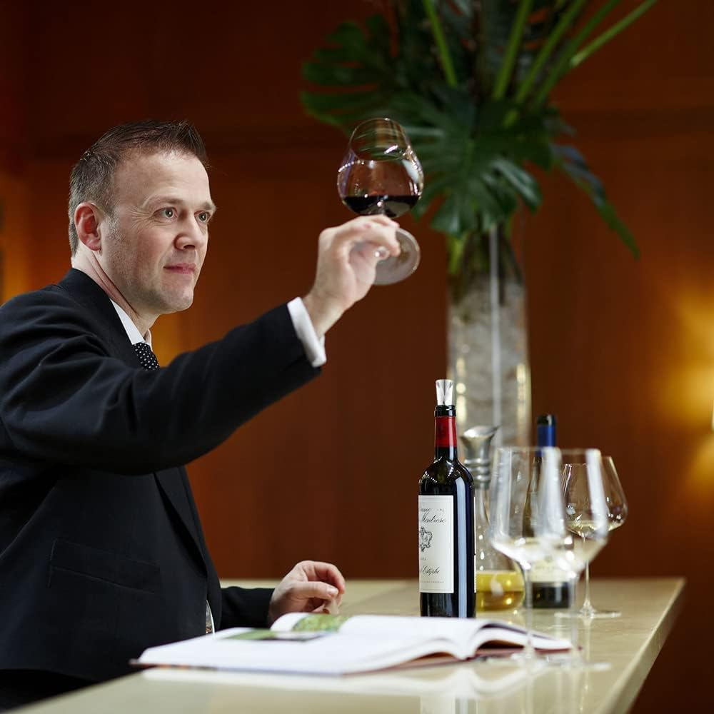 20 Pcs Wine Pourer Disc Flexible Drip Stop Wine Disc No Drop Drip Stop and Pourer Home Bar Accessories for Wine Bottles Silver image number 5