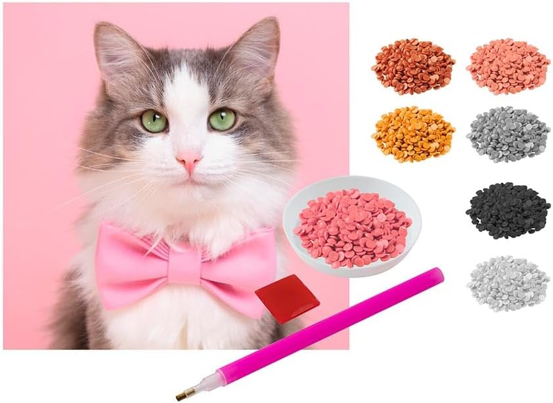 Craft ID Diamond Painting Cat 20 X 20 Cm image number 1