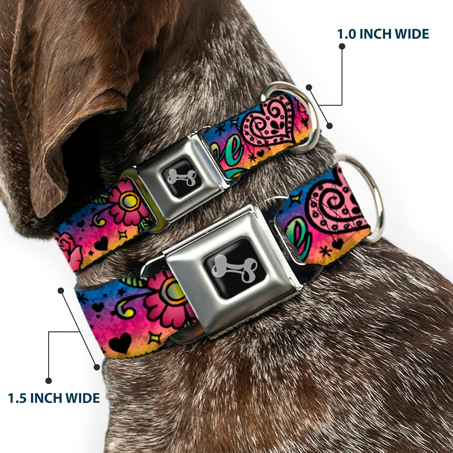 Buckle-Down Seatbelt Buckle Dog Collar - Love Love Purple - 1.5" Wide - Fits 18-32" Neck - Large image number 1