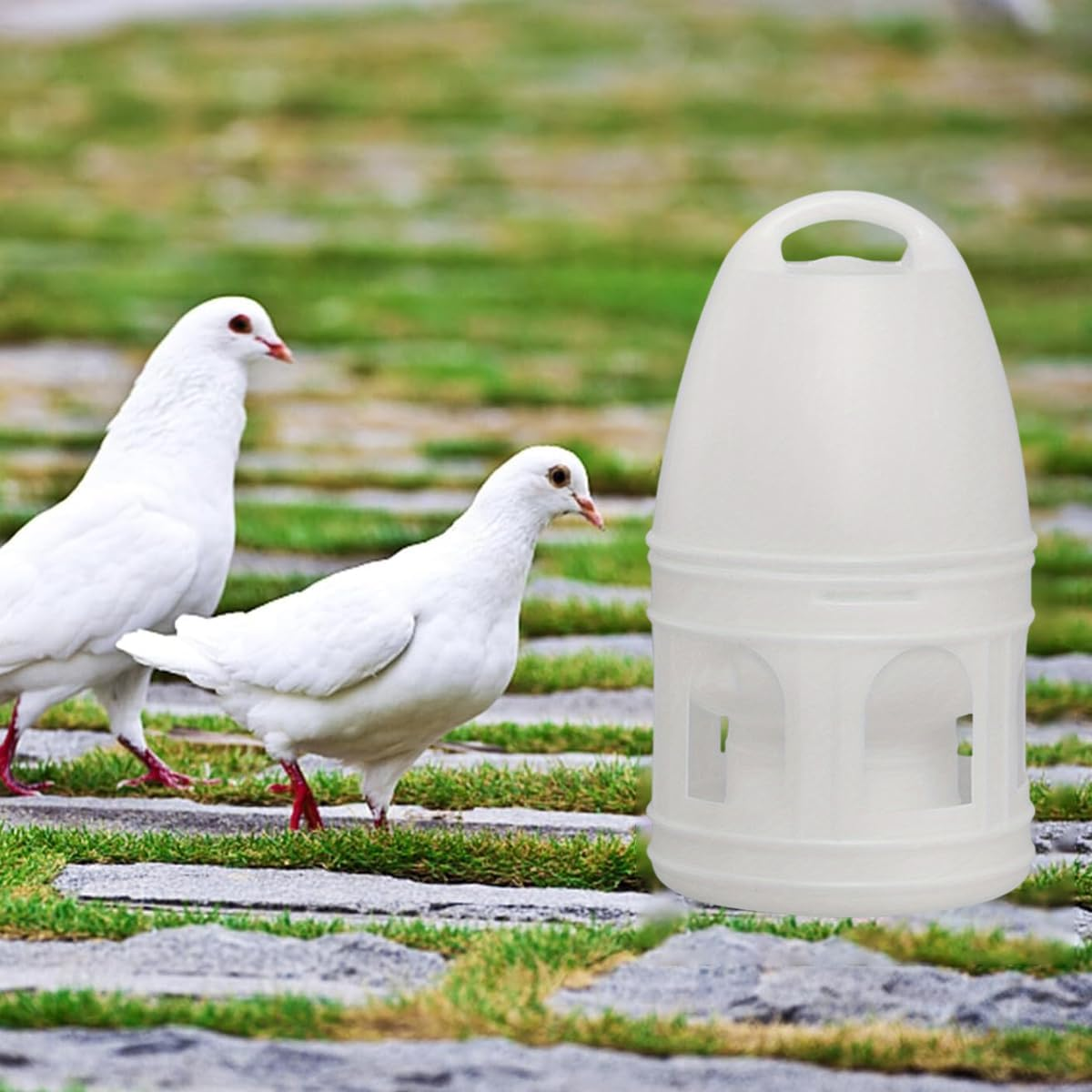 Jade Deals 3L Pigeon Drinker - 11.41&times;6.69In White Plastic Bird Water Dispenser, Automatic Hydration, Multiple Arched Ports, Portable Handle, for Pigeons/Small Birds image number 6