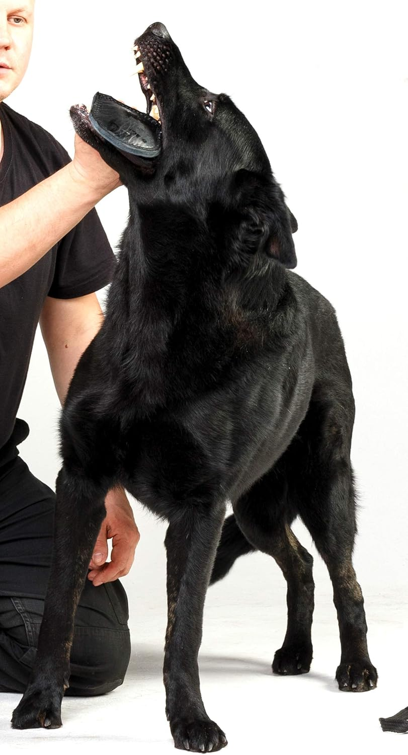 Dingo Gear Bite Tug Genuine Leather Handmade Tough Toy for K9 Dog Training and Play S00229, Black image number 3