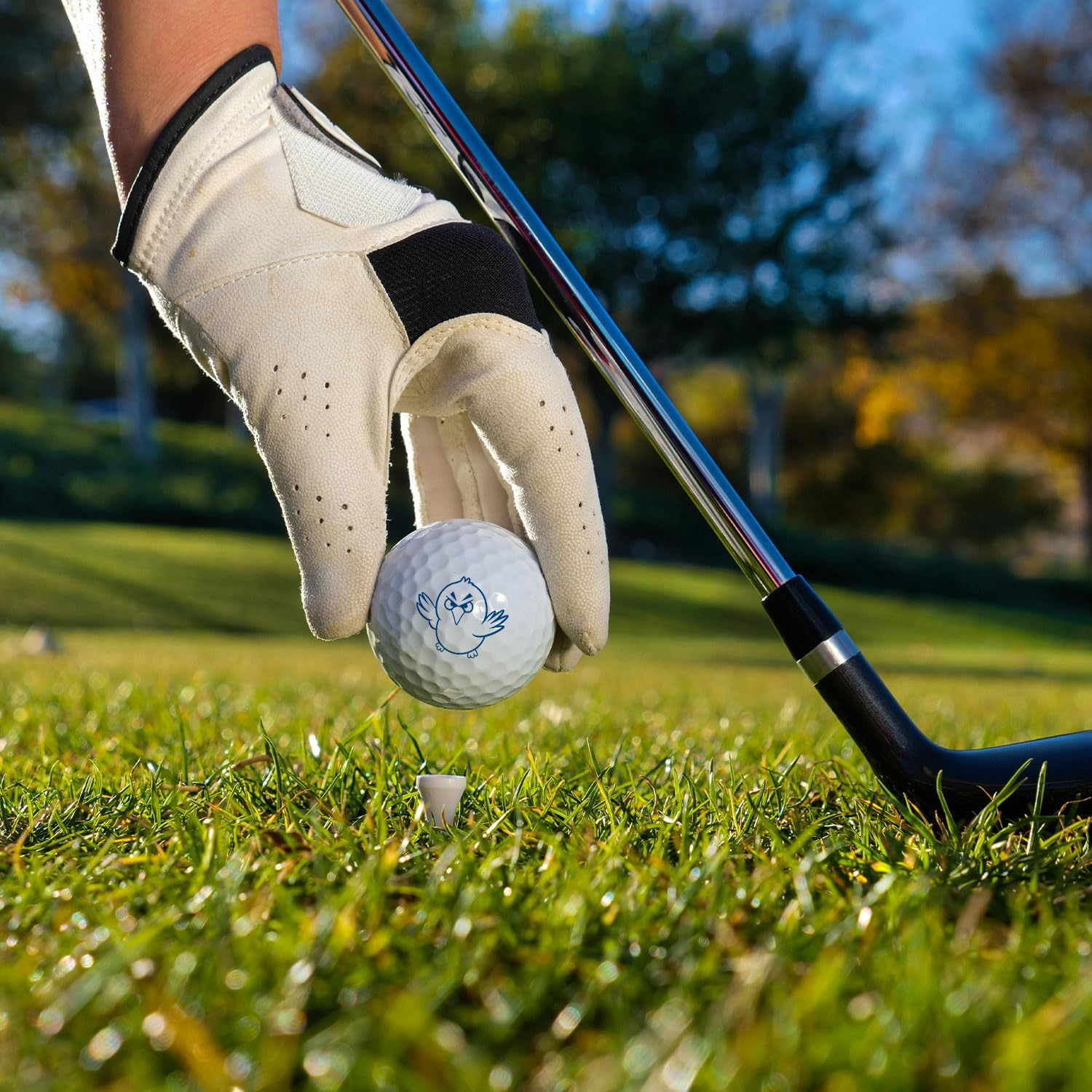 Birdie Time Golf Ball Stamp, Golf Ball Marker Stamp Self-Inking Golf Ball Stamper Cute Ball Stamp Golfer Gifts Golf Accessories for Women Men image number 3