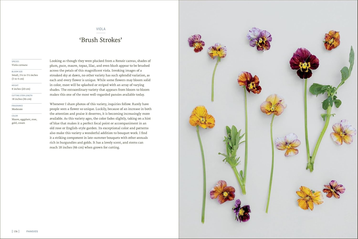 Pansies: How to Grow, Reimagine, and Create Beauty with Pansies and Violas image number 2