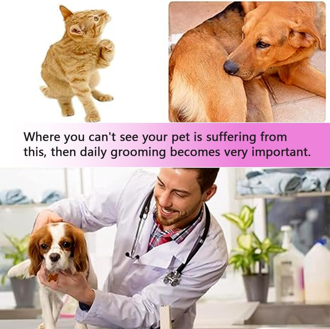 Pack of 3 Lice Comb, Flea Comb, Lice Comb, Metal Teeth Lice Comb, Plastic Double-Sided Nit Comb, Multifunctional for Dogs Cats (Pink) image number 3