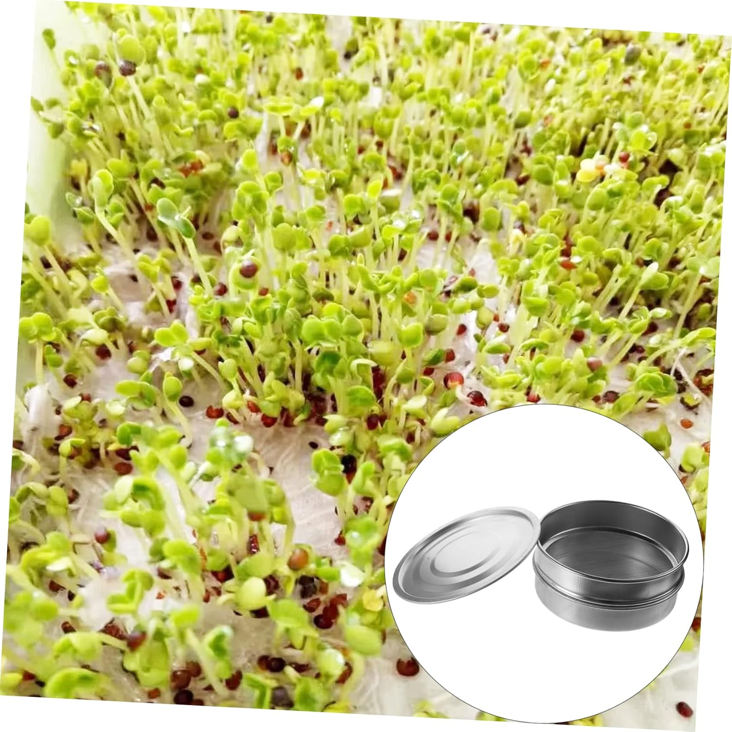 MOBUTOFU Stainless Steel Mesh Basins Sprouting Tray Set Plant Nursery Pots Gardening Device Water Tray for Bean Sprouts