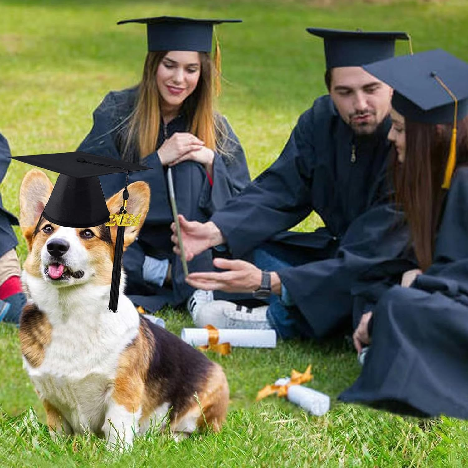 Pet Graduation Cap with 2024 Black Tassel - Dog Hat Costume for Cats and Puppies - Holiday Outfit Accessory for Party Dress-Up and Photo Prop (Black) - Yellow image number 5