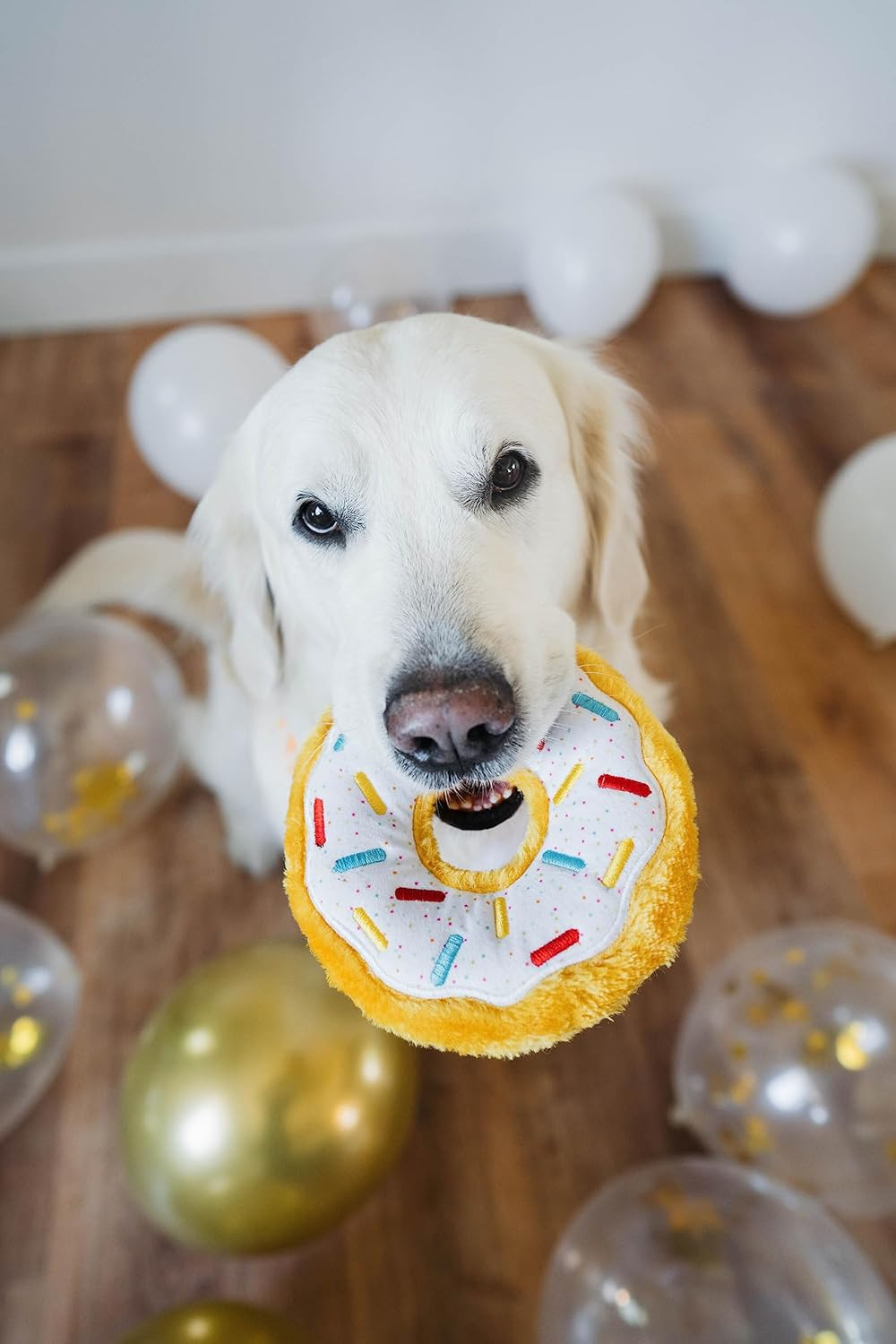 Zippypaws Donutz Dog Birthday Gift Dog Toy, 17.8 X 17.8 X 5.1 Cm Size - Multicolor image number 3