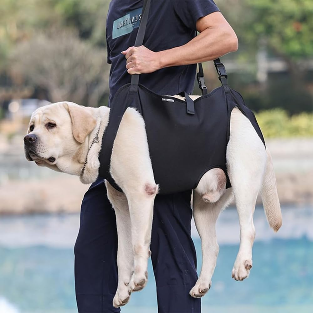 Dog Rehabilitation Training Belt, Breathable Straps - Adjustable Soft Support Sling, Helps with Surgery Recovery, Arthritis, Joint Injuries, Loss of Stability, Injured and Disabled Dogs image number 5