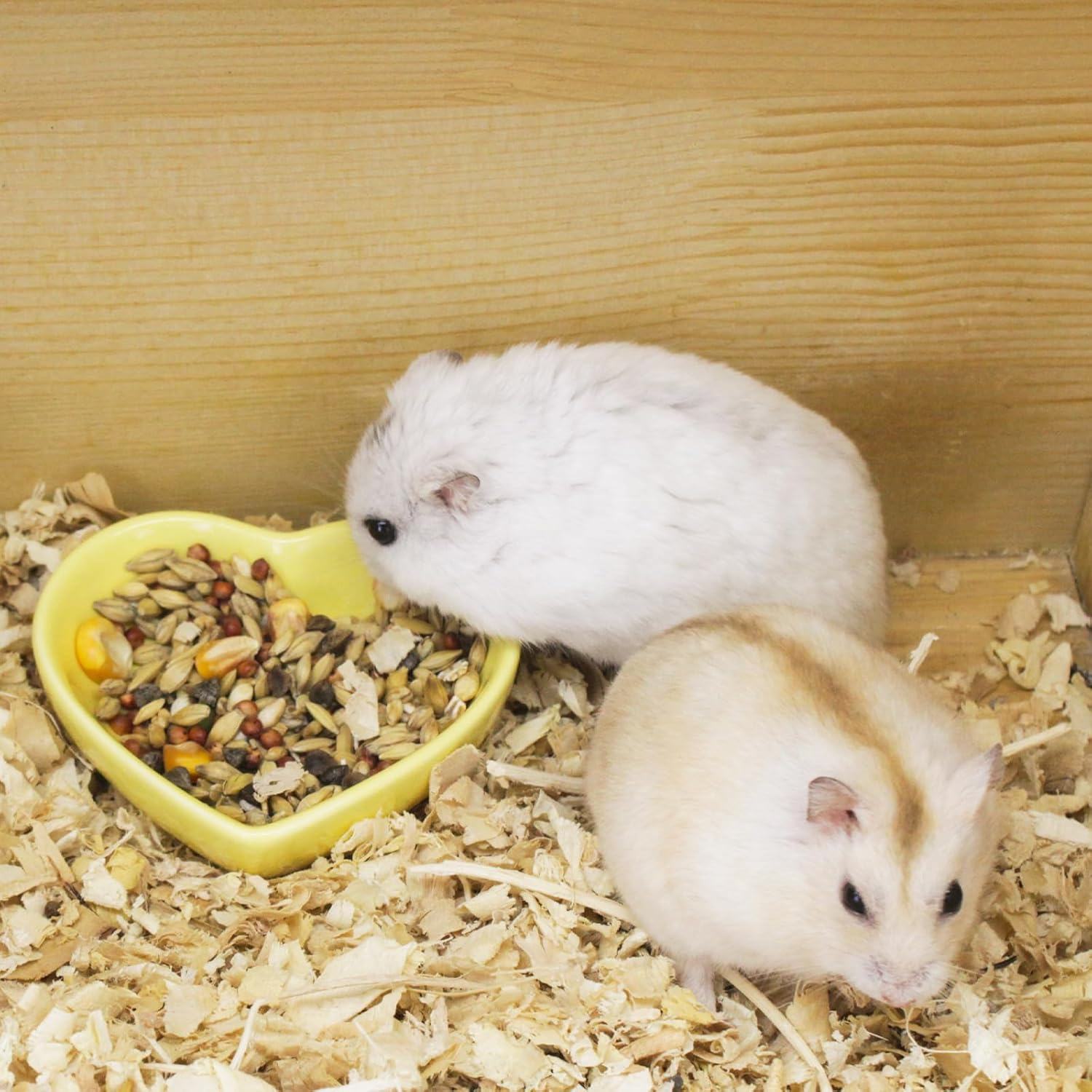 Luckyopt Hamster Bowl, Ceramic Heart-Shaped Pet Bowl Hamster Food Bowl, Washable Small Animal Bowl Hamster Water Bowl for Hamster, Guinea Pig, Gerbil, Hedgehog, Chinchilla, Parrot (Yellow) image number 5