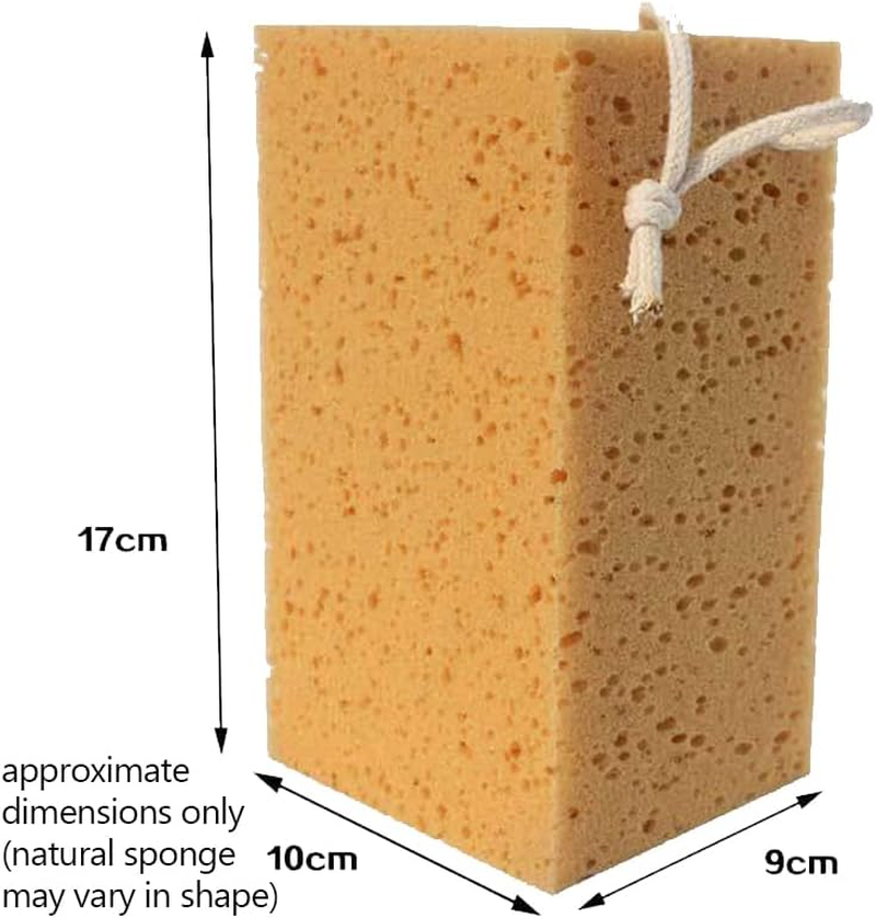 Strike Natural Composite Sea Sponge 2-Pack for Car Wash &ndash; Ultra Lather, Scratch-Free Scrub, Hang-Dry Rope, Textured Surface, Approx. 10X17X9Cm &ndash; Eco-Friendly & Reusable