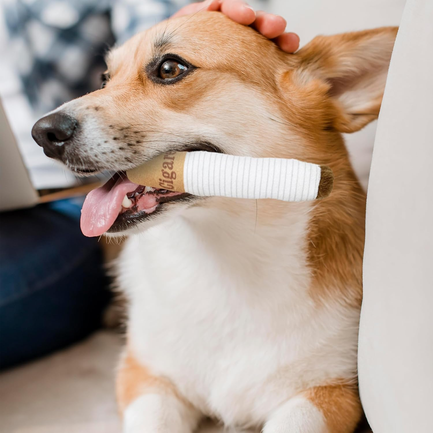 JIGCEN Pet Dog Cigarette Toys, Cigarette Plush Dog Toys, Squeaking Cigar Toys, Fun Dog Toys for Medium Dogs image number 1