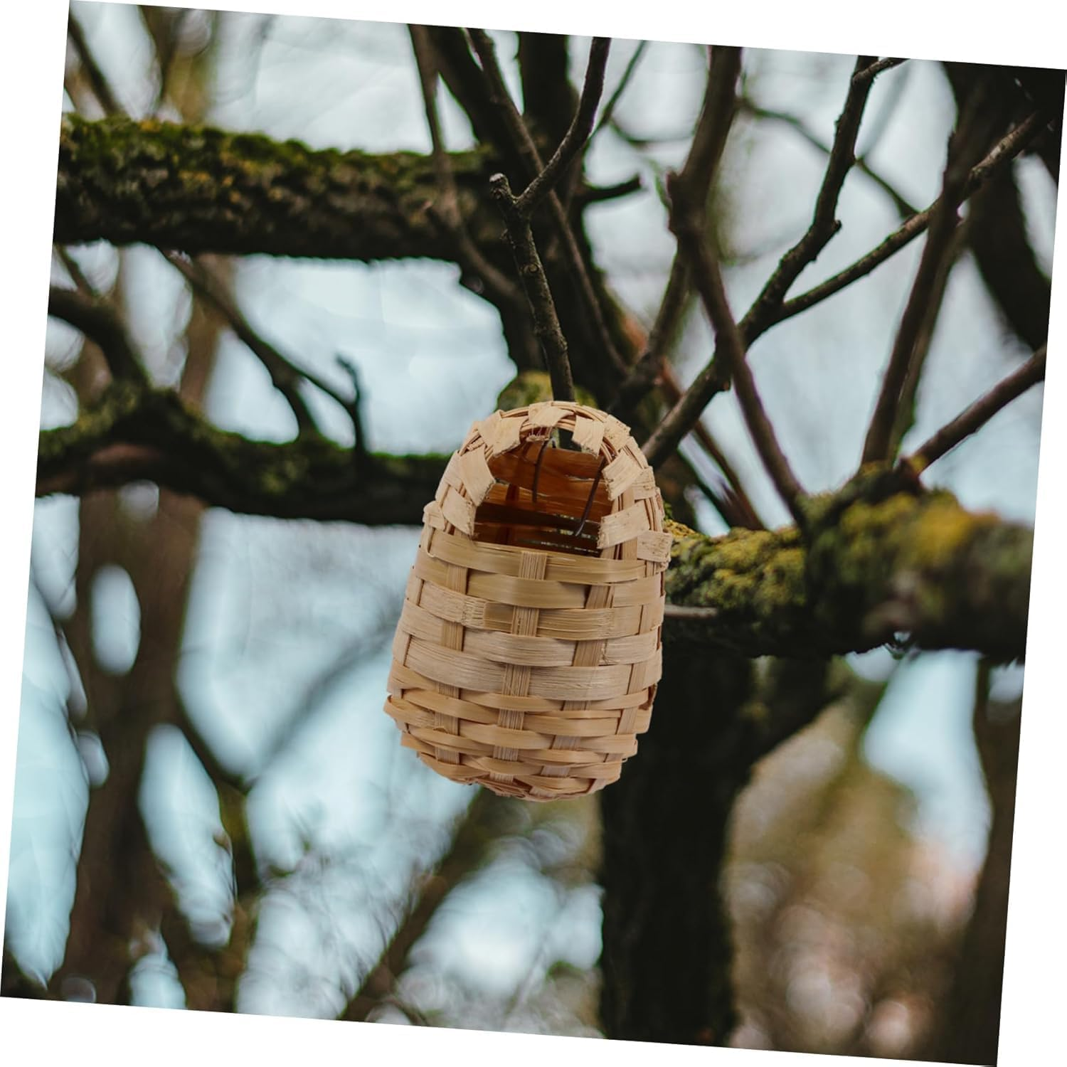 Limcryspp 6Pieces Handmade Bamboo Nest Resting Place, Bird House Creativity, Bird Nest Swallow Weaving, Bird House Grass Bird House Hand-Woven Bird Garden, Bird House image number 6