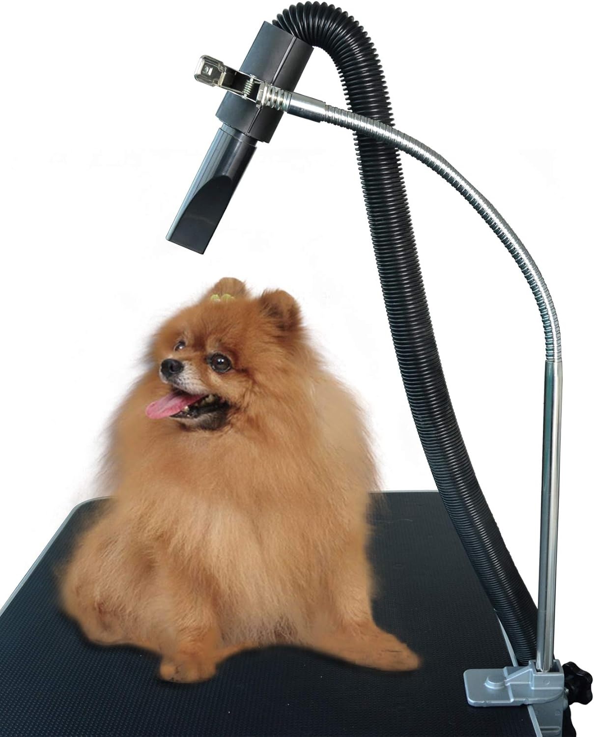 SHELANDY Dog Pet Grooming Table Hair Dryer Stand Hose Tube Holder Hands-Free Stainless Steel Groomers Adjustable Third Arm with Clamp image number 2